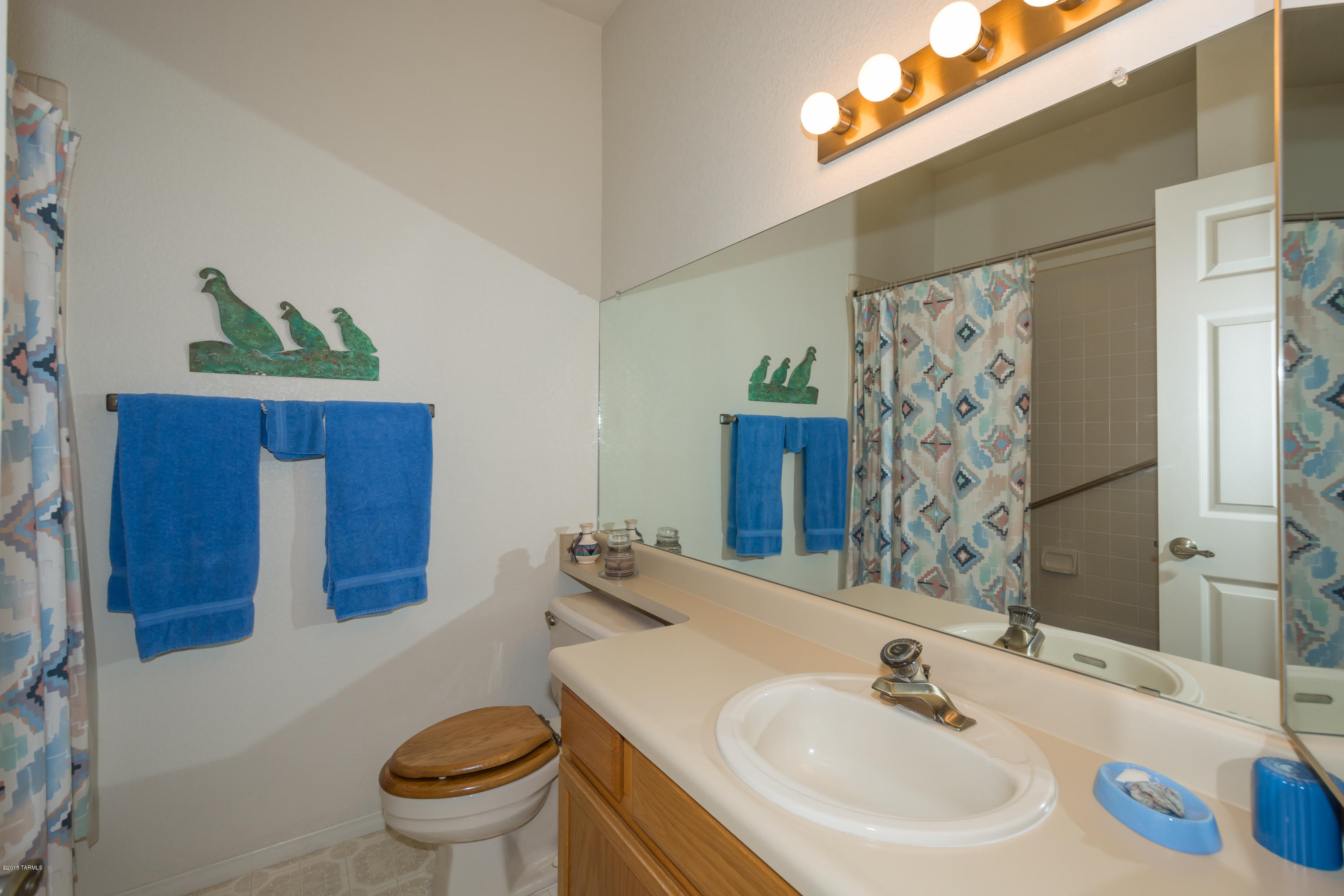 La Cholla Hills(1-313) - Residential