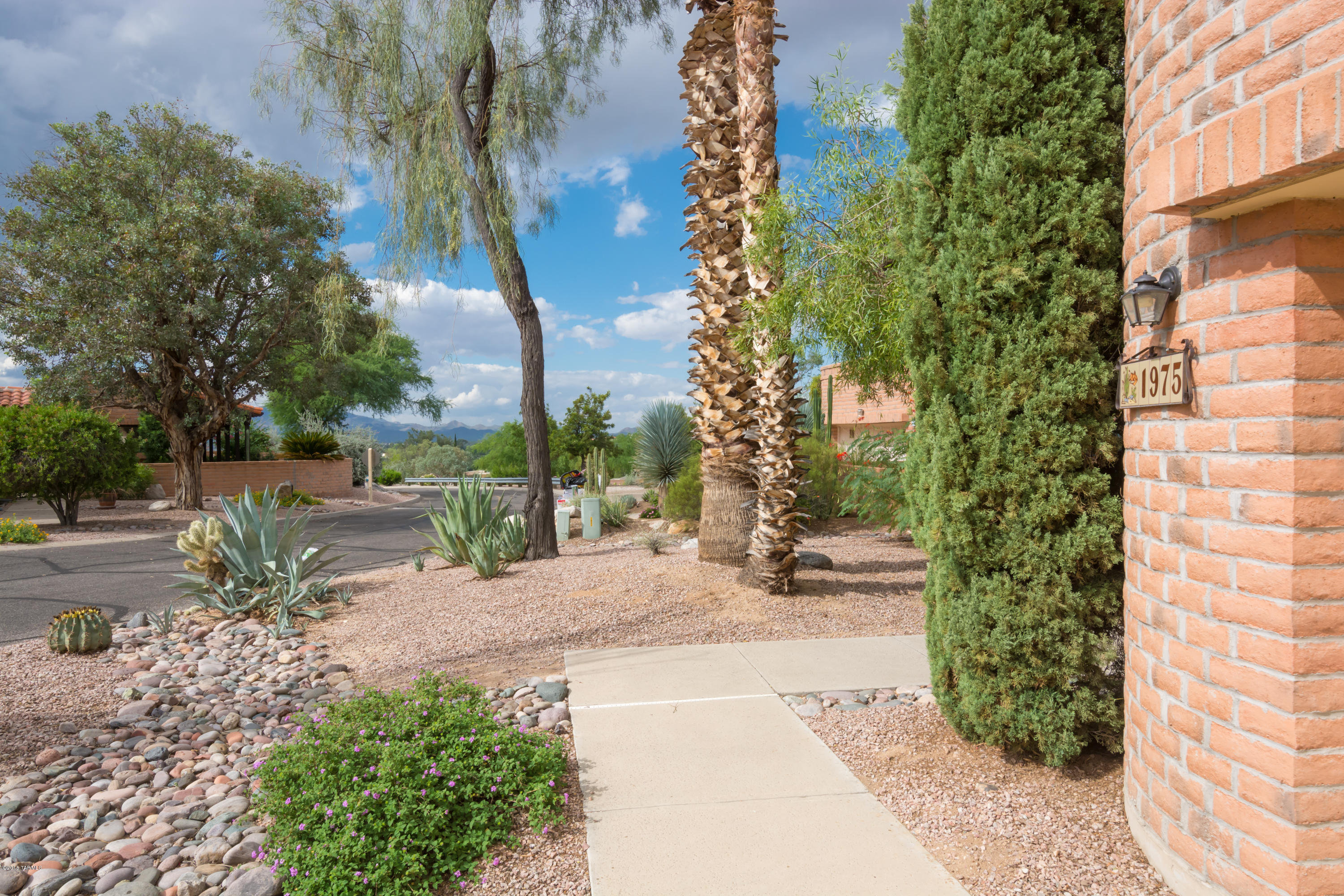 La Cholla Hills(1-313) - Residential