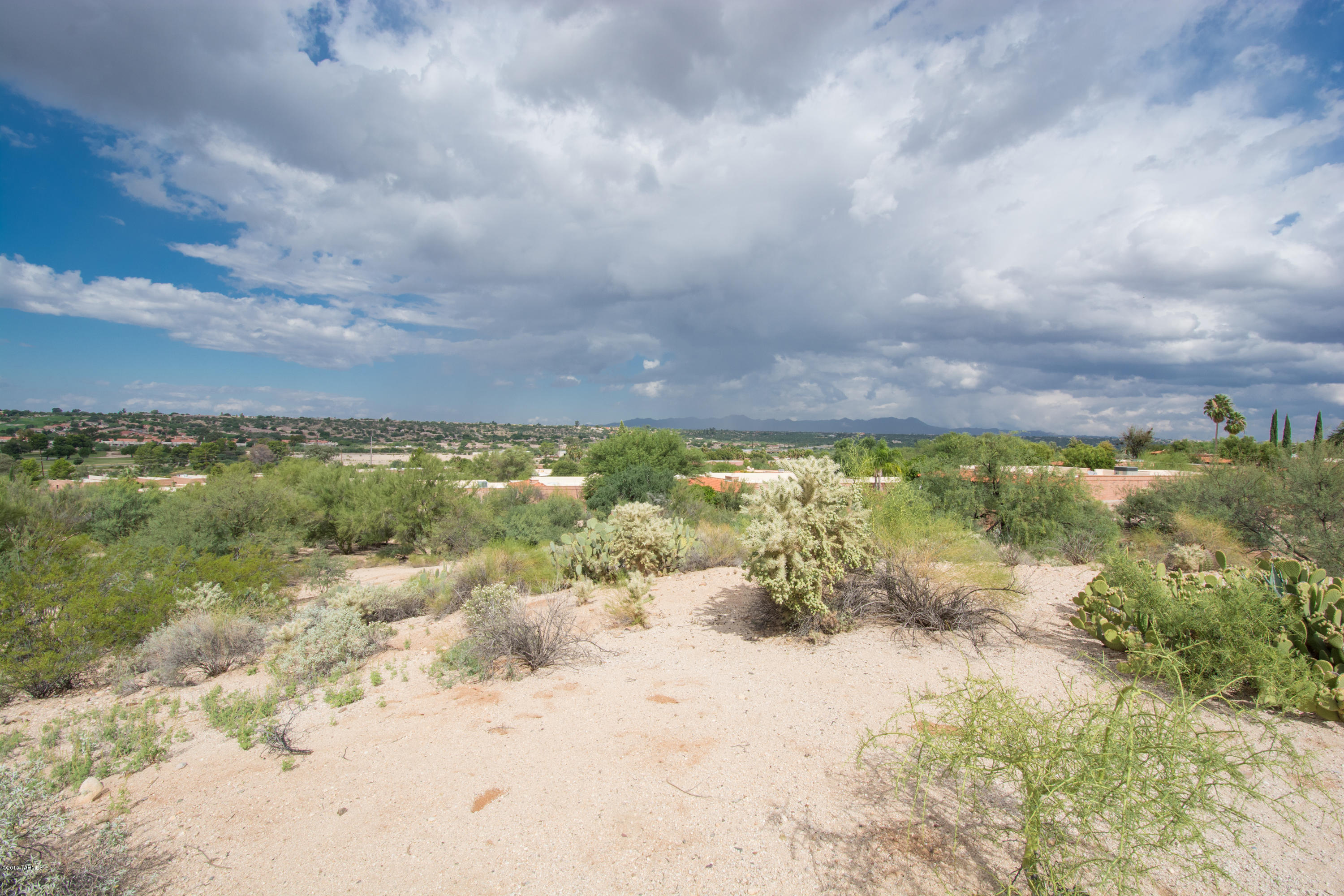 La Cholla Hills(1-313) - Residential