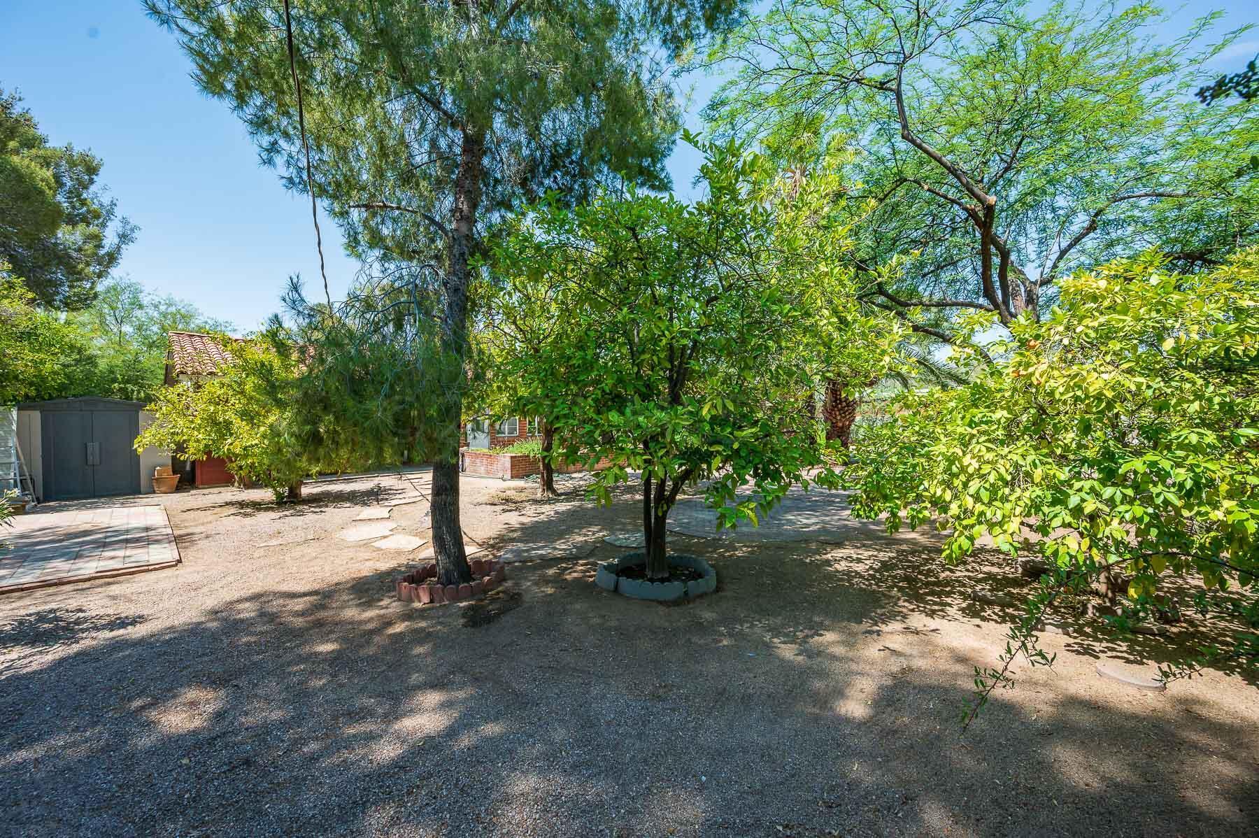 San Clemente - Residential