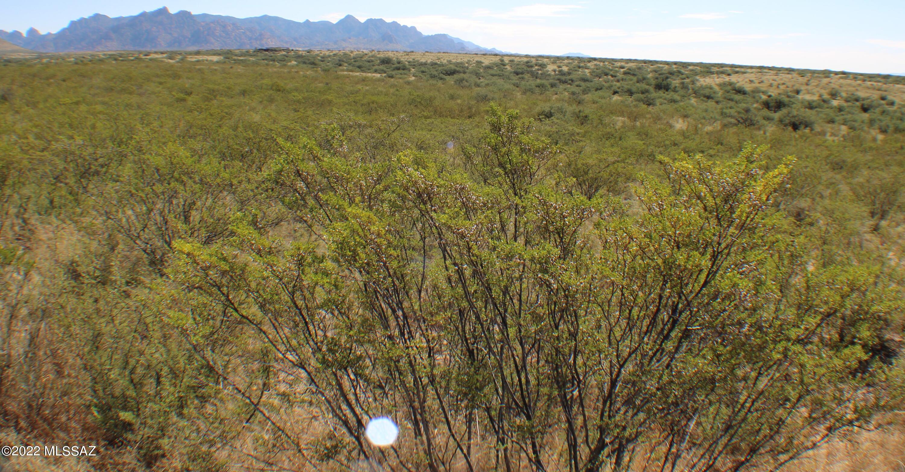 Dragoon Mountain Ranch - Land
