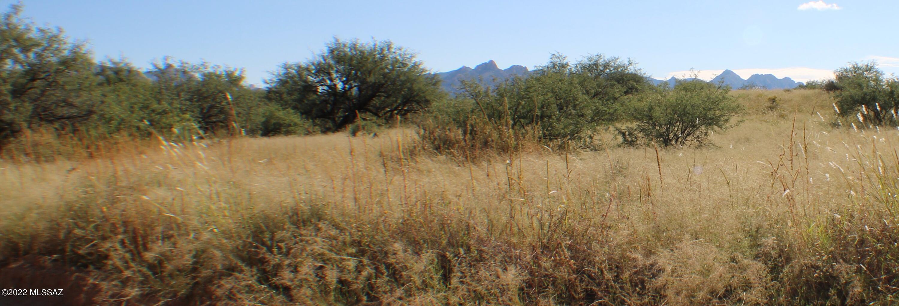 Dragoon Mountain Ranch - Land