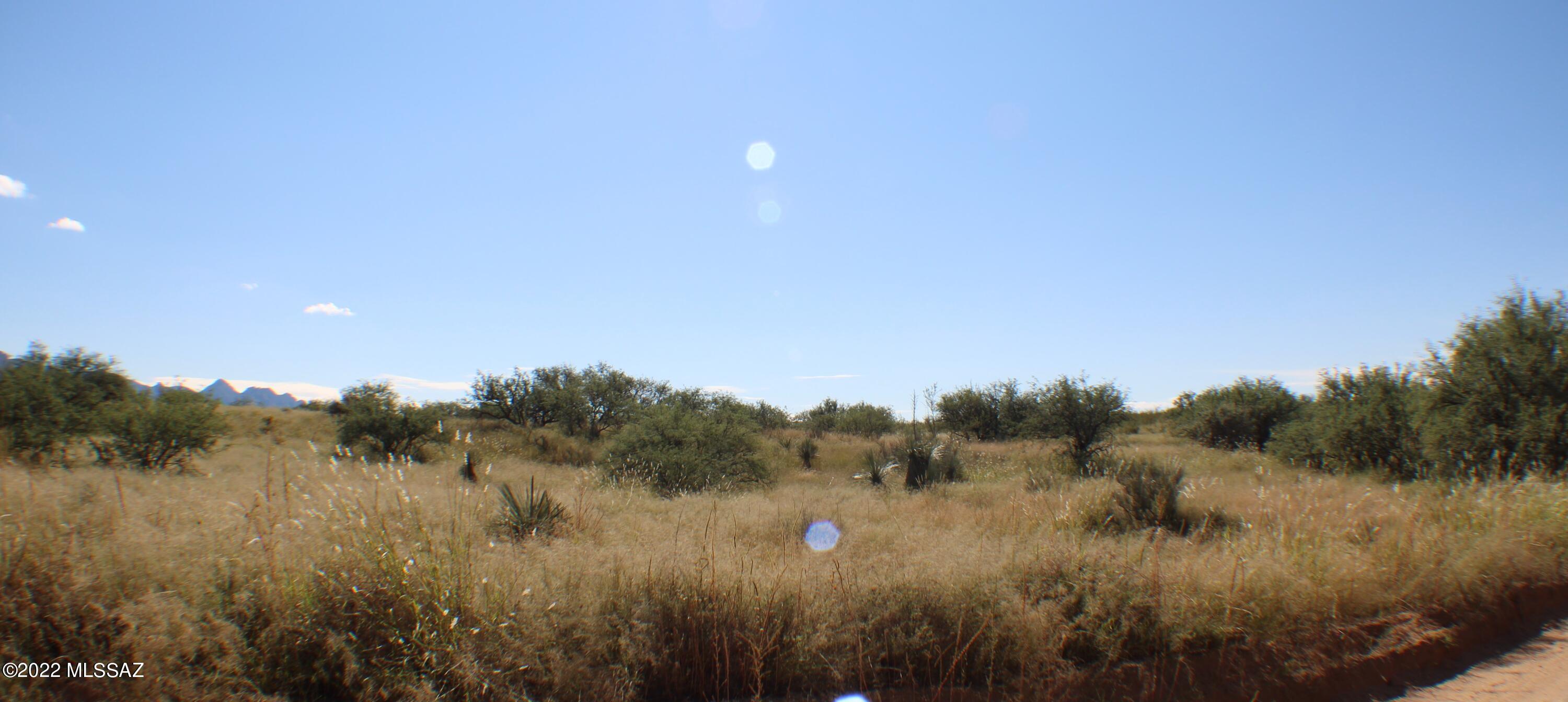 Dragoon Mountain Ranch - Land