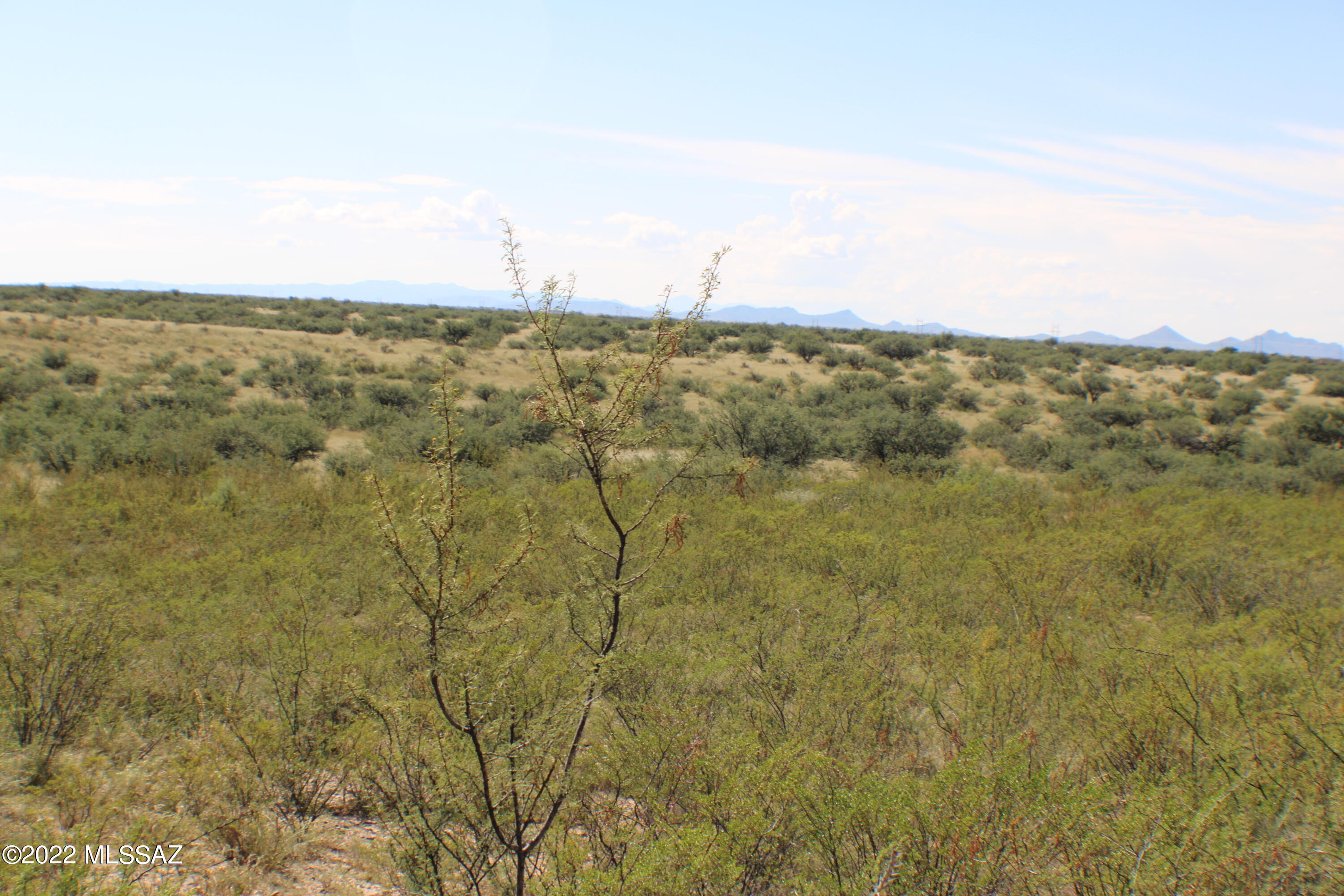 Dragoon Mountain Ranch - Land