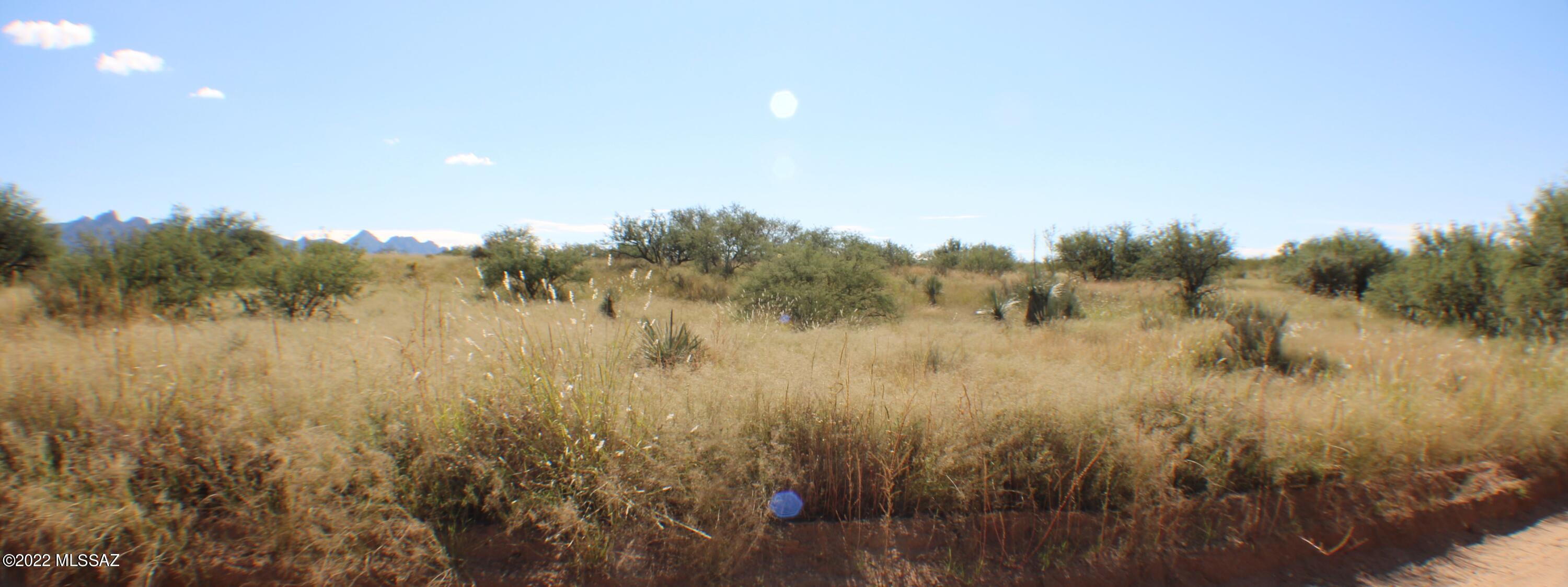 Dragoon Mountain Ranch - Land
