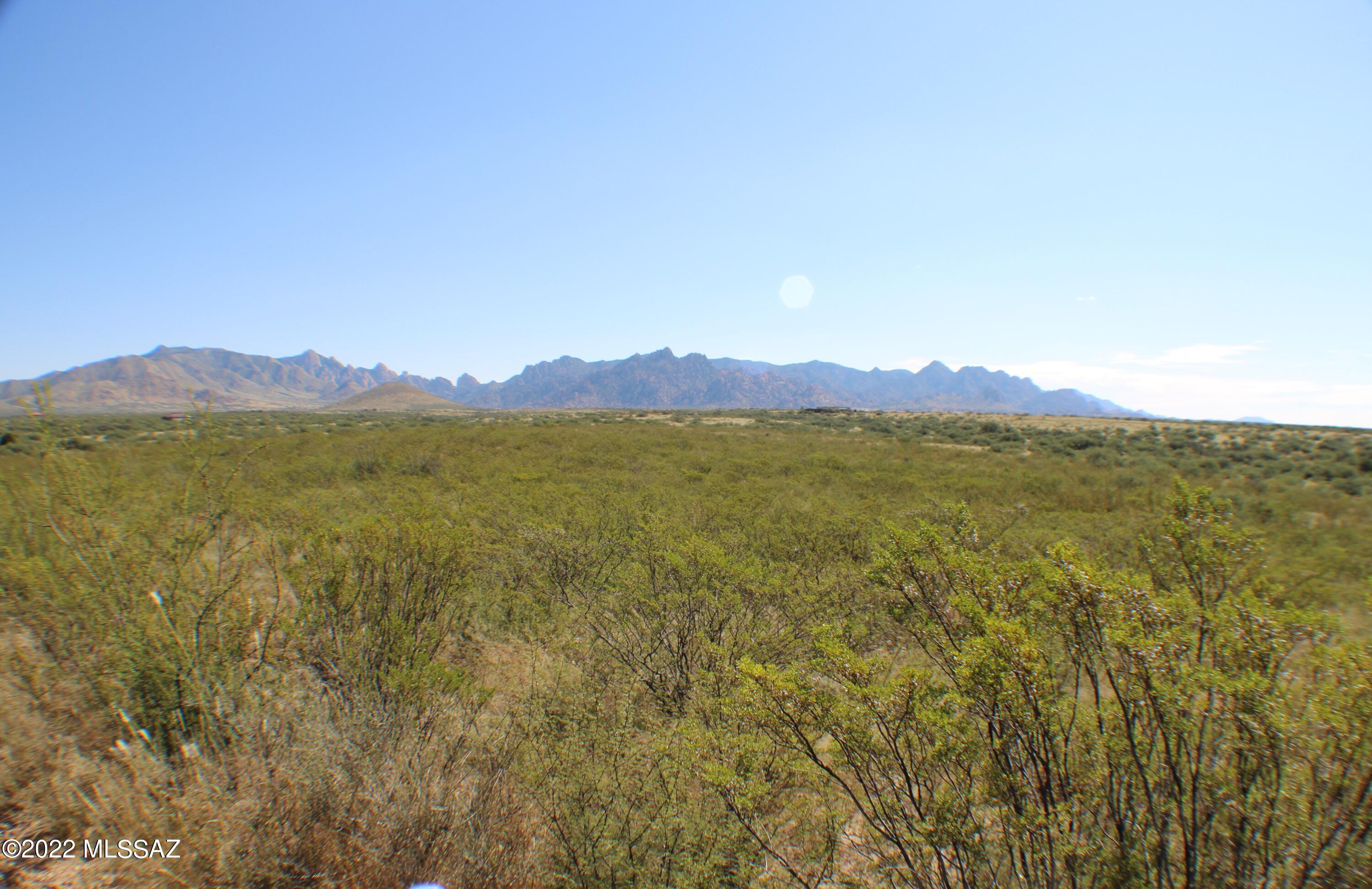Dragoon Mountain Ranch - Land