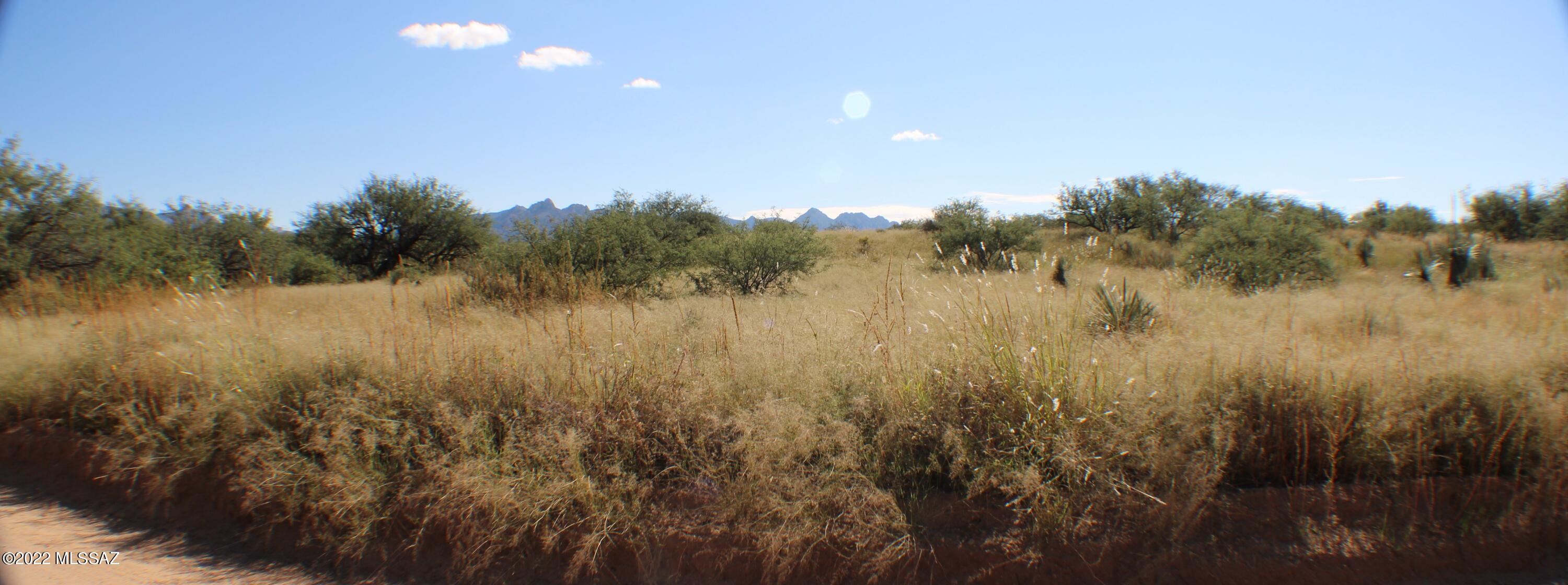 Dragoon Mountain Ranch - Land