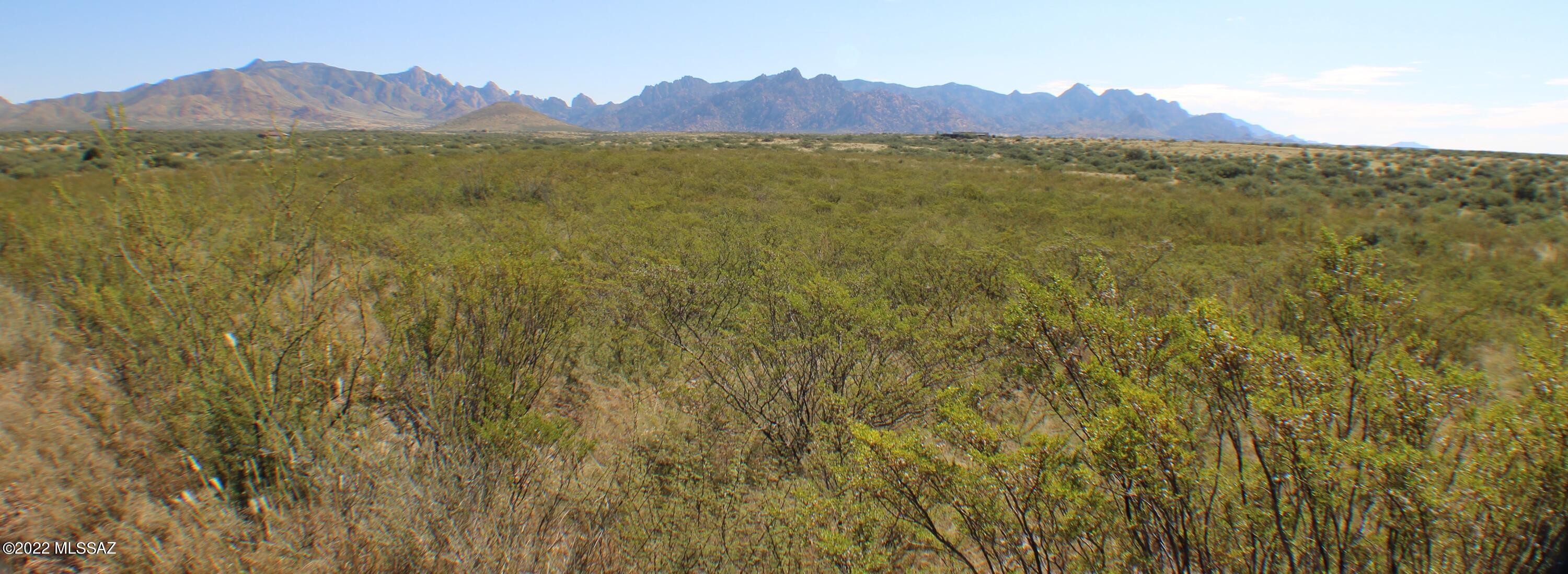 Dragoon Mountain Ranch - Land