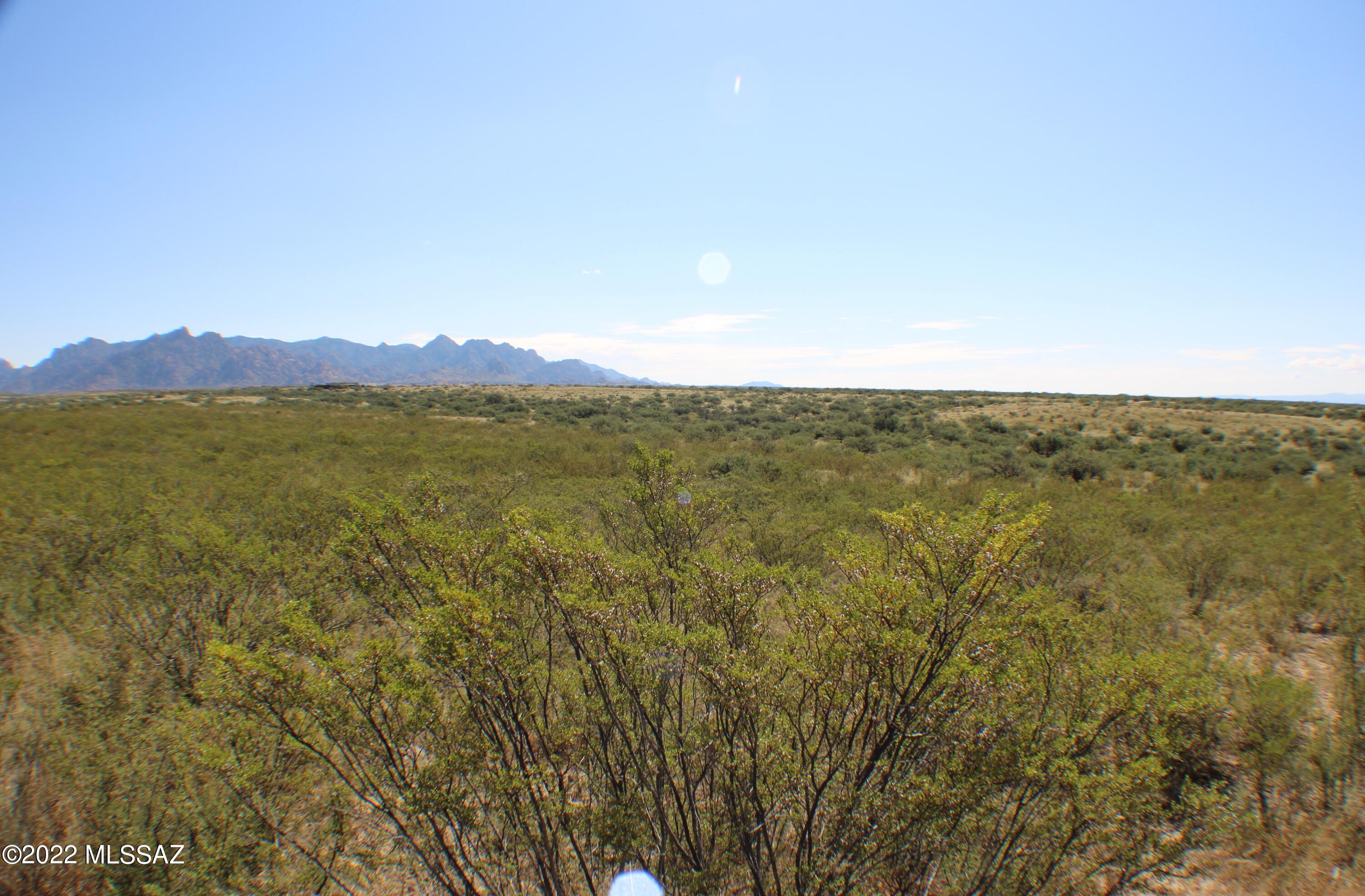 Dragoon Mountain Ranch - Land