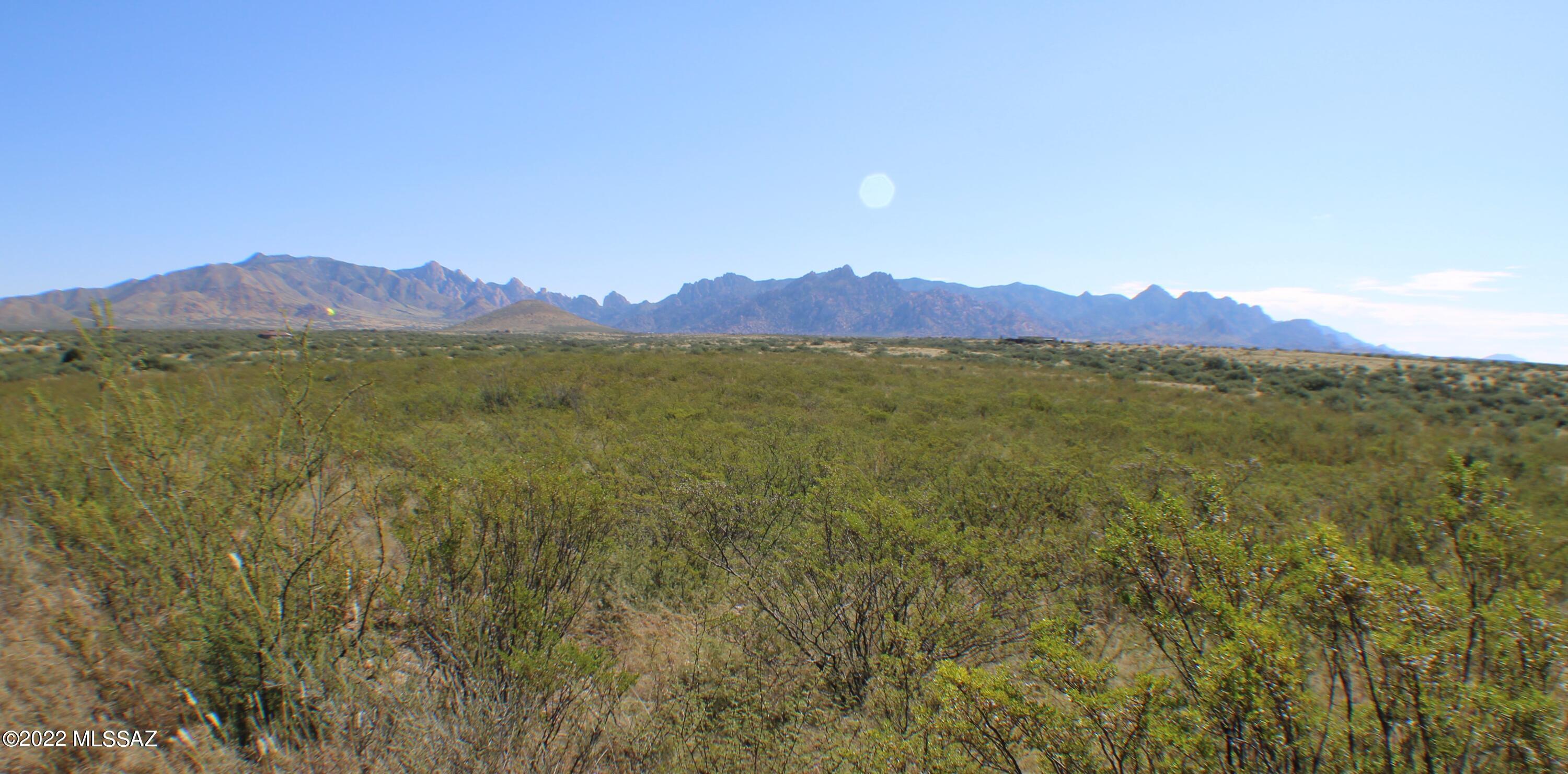Dragoon Mountain Ranch - Land