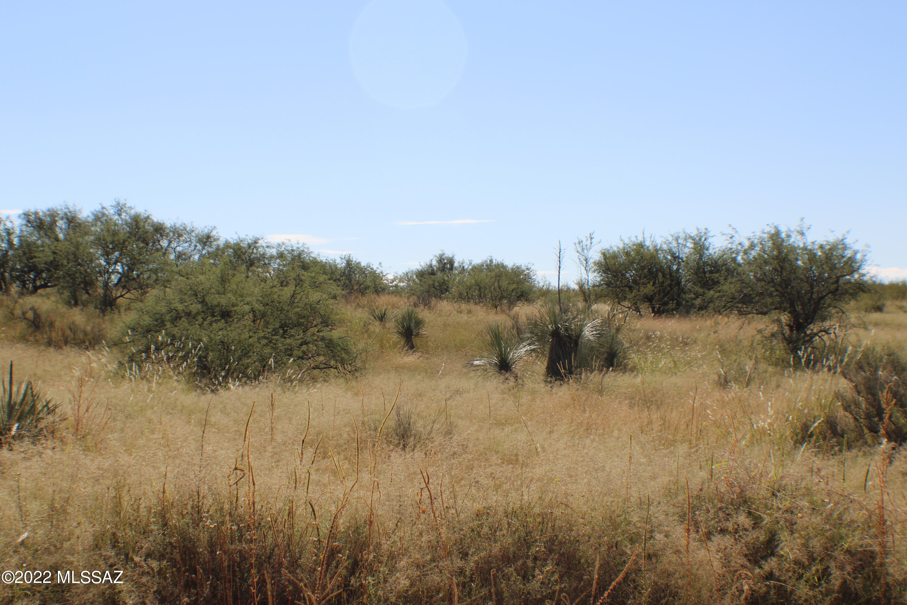 Dragoon Mountain Ranch - Land