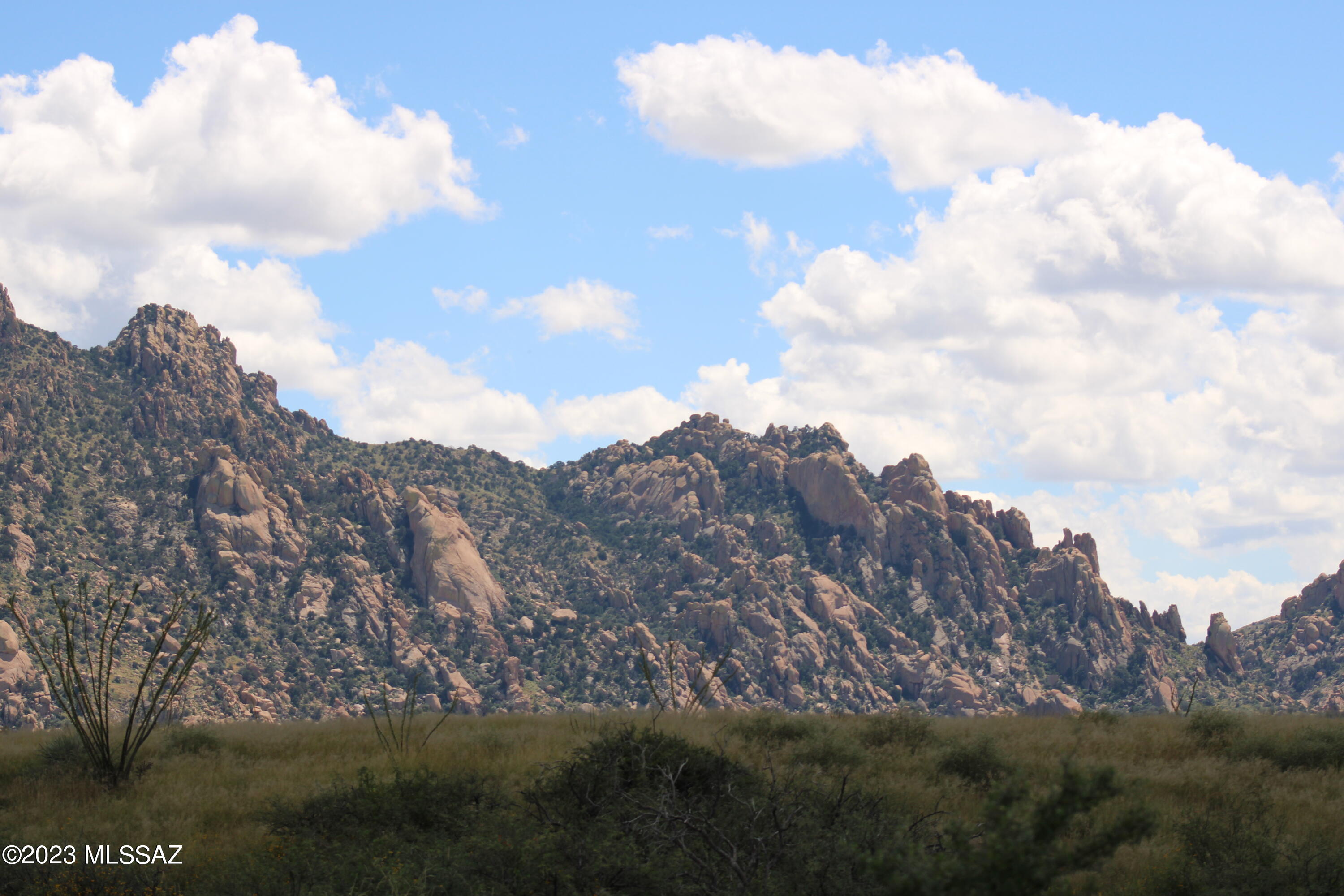 Dragoon Mountain Ranch - Land