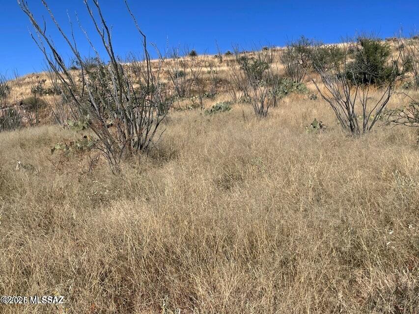 Rio Rico Ranchettes 17 - Land