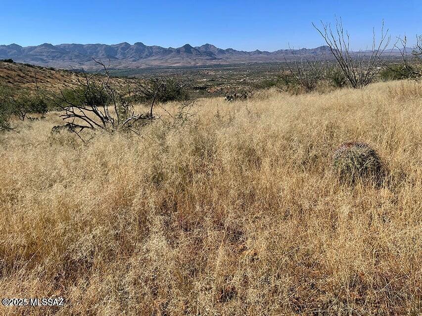 Rio Rico Ranchettes 17 - Land