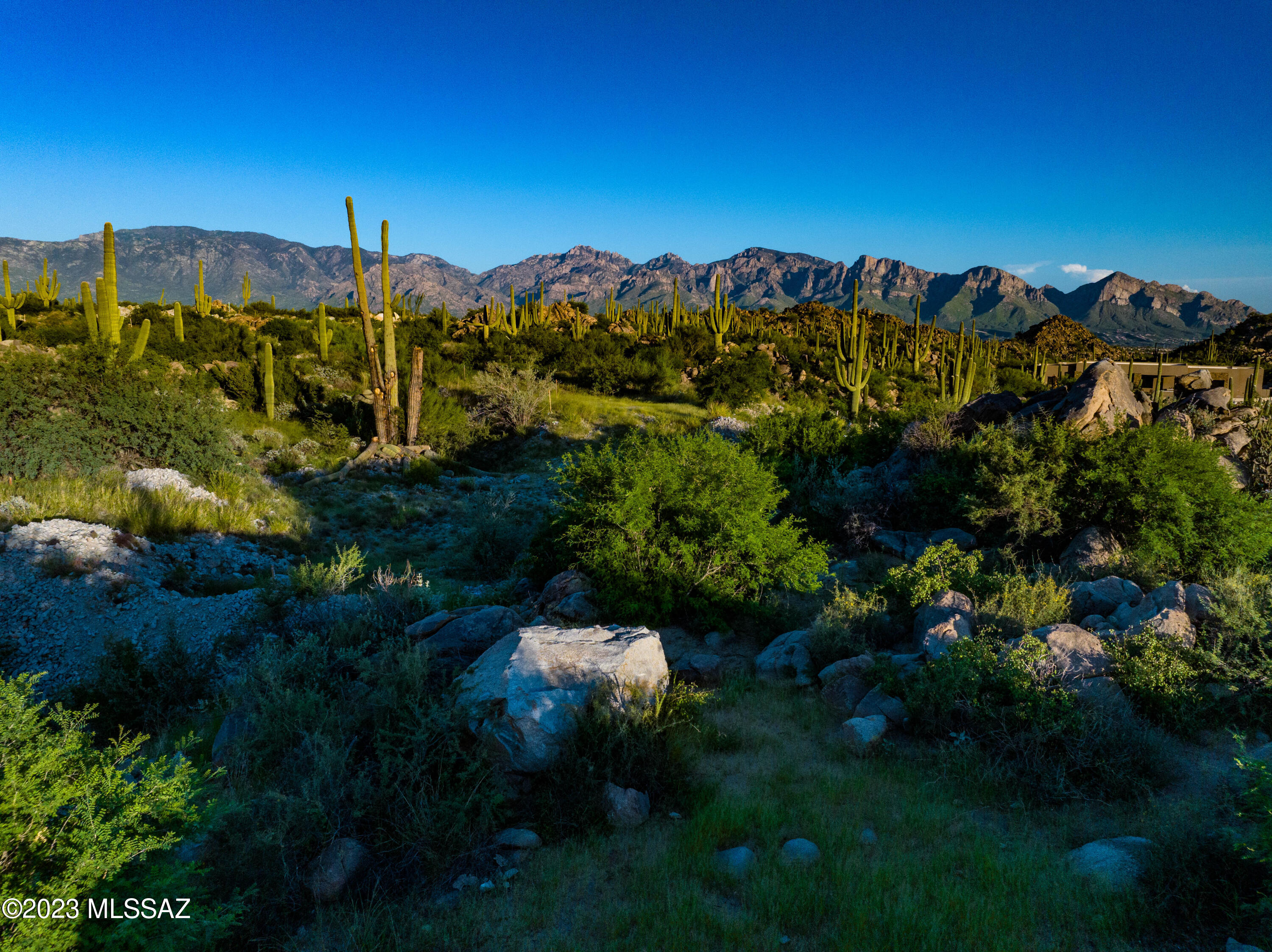 Stone Canyon VII (404-485) - Land