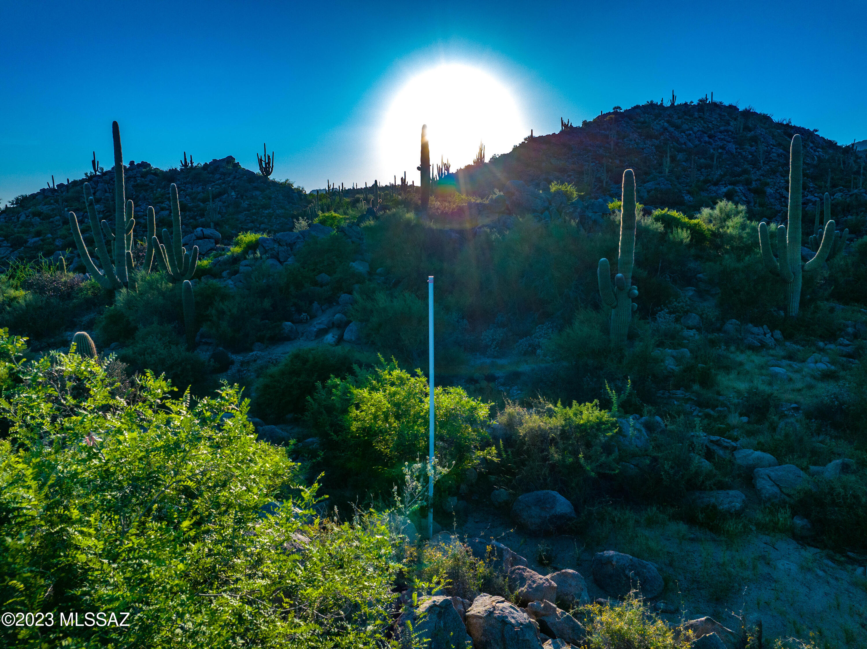 Stone Canyon VII (404-485) - Land