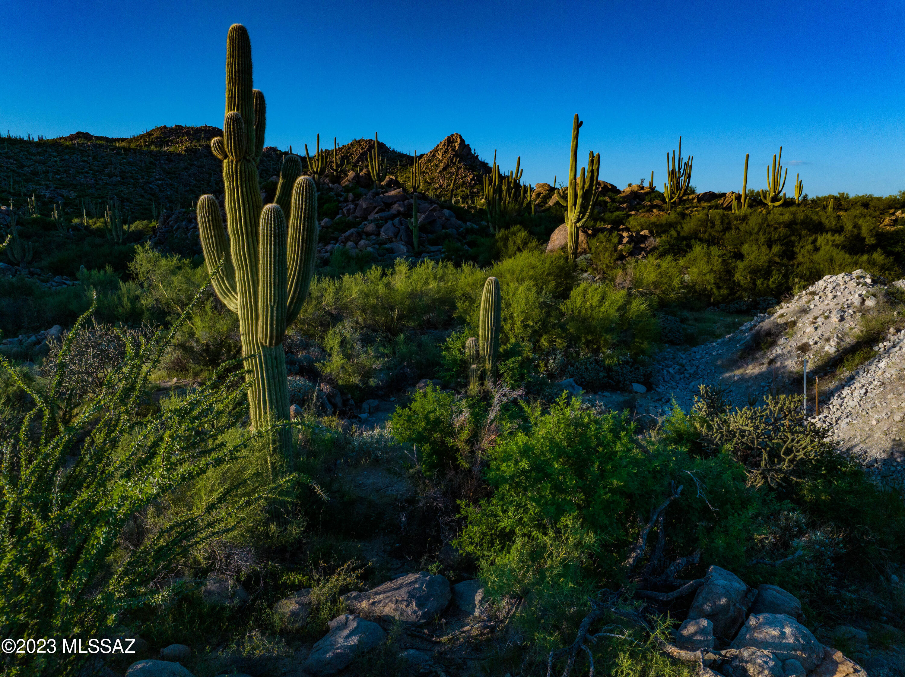 Stone Canyon VII (404-485) - Land