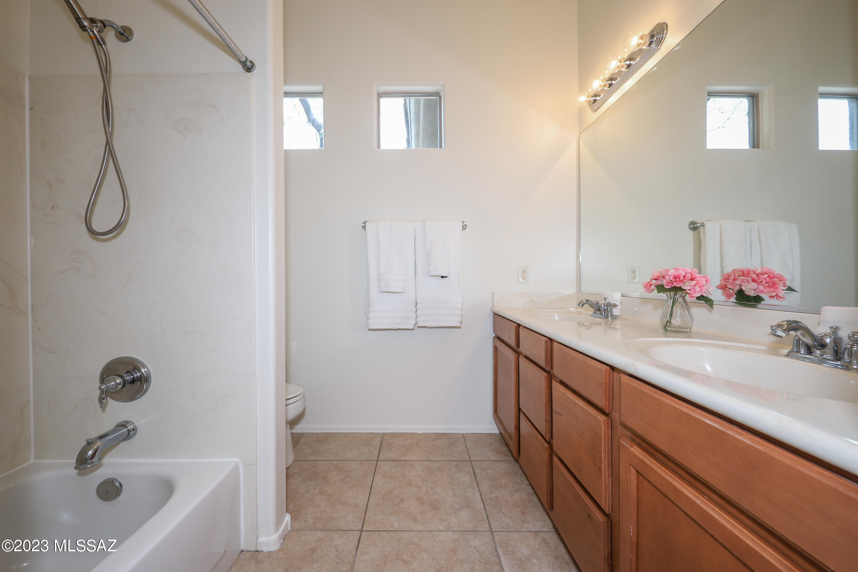 Preserve at Dove Mountain (1-182) - Residential Lease