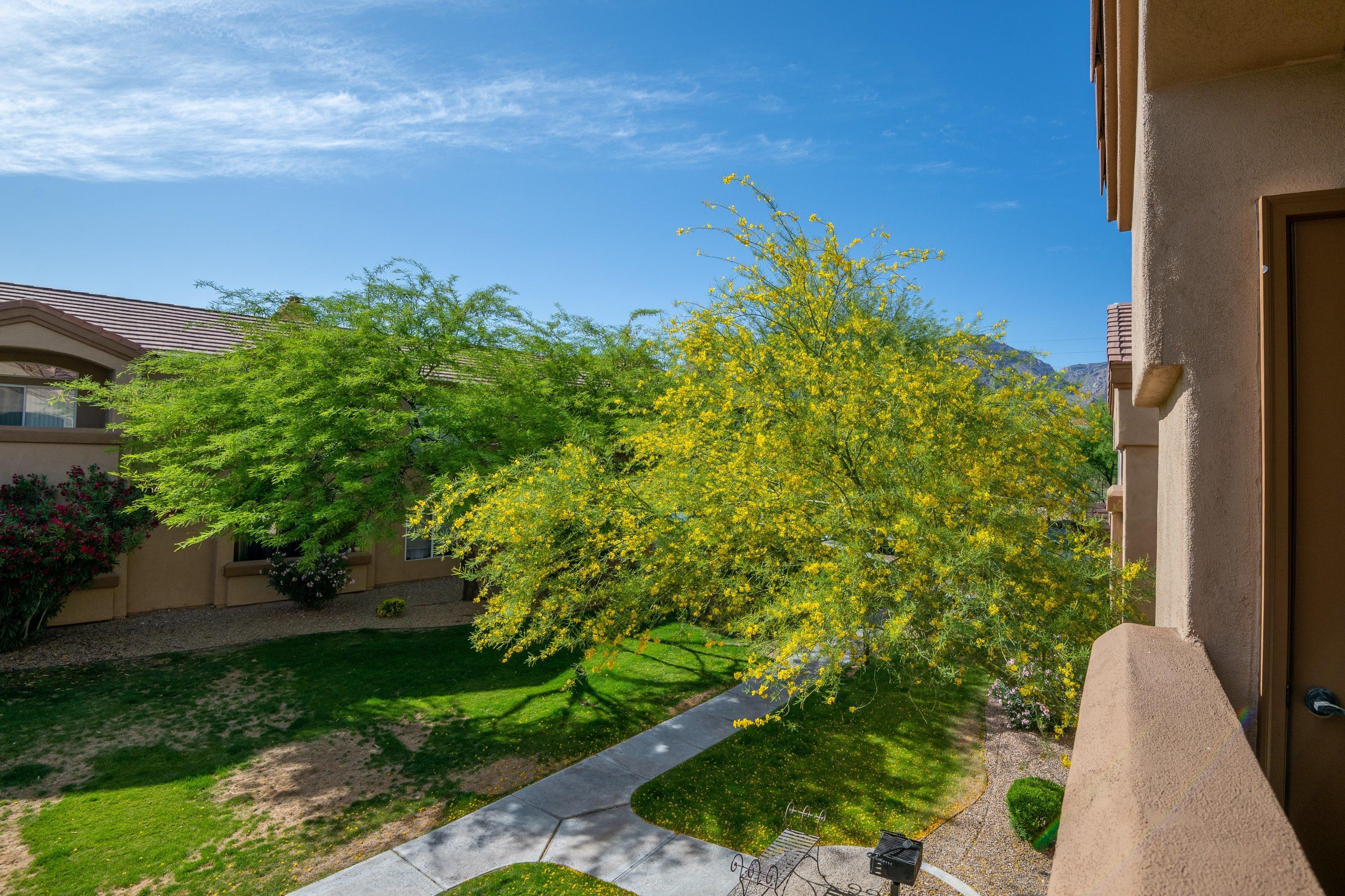 Pinnacle Canyon Condominium - Residential