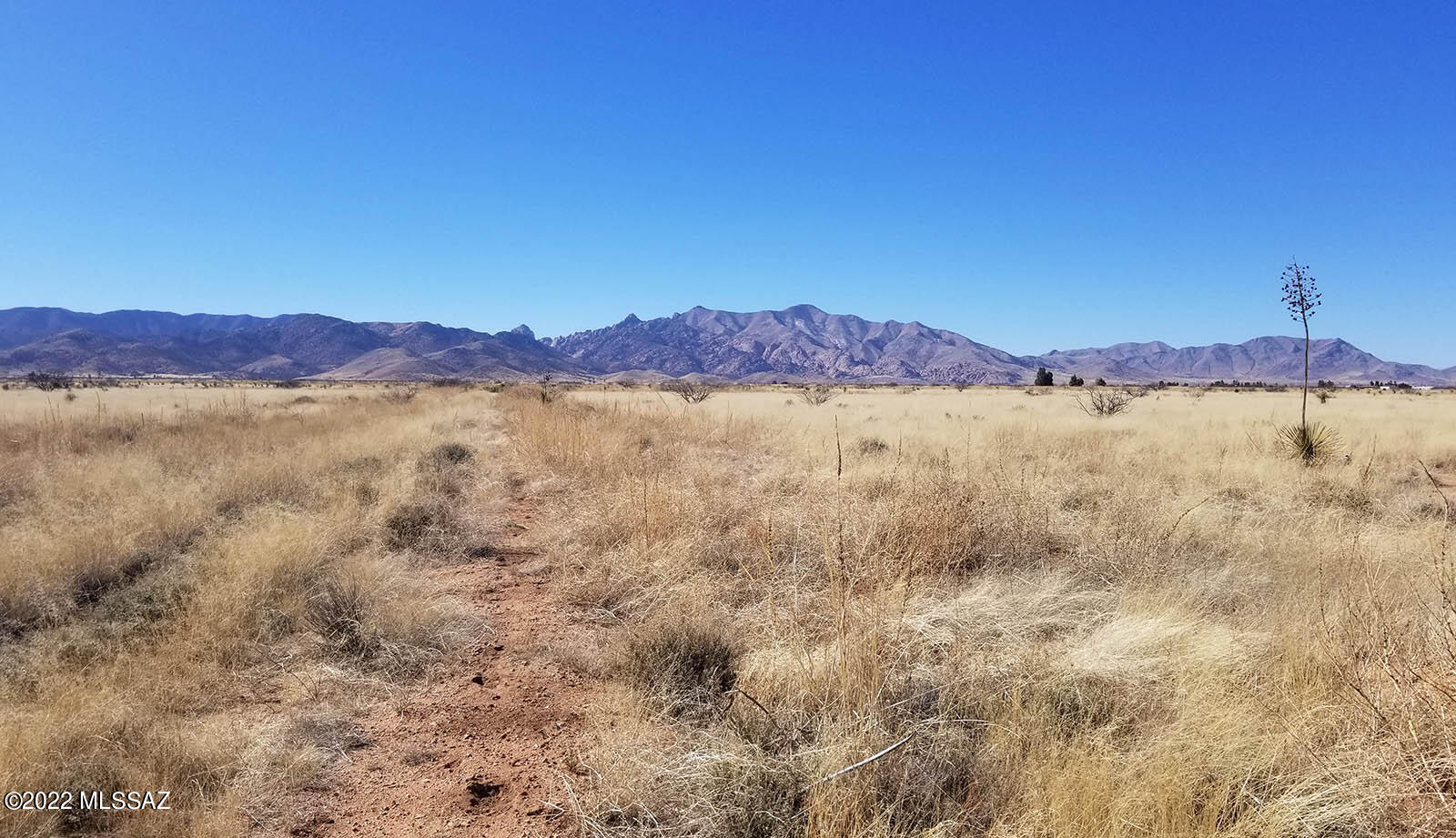 Arizona Sun Sites - Land