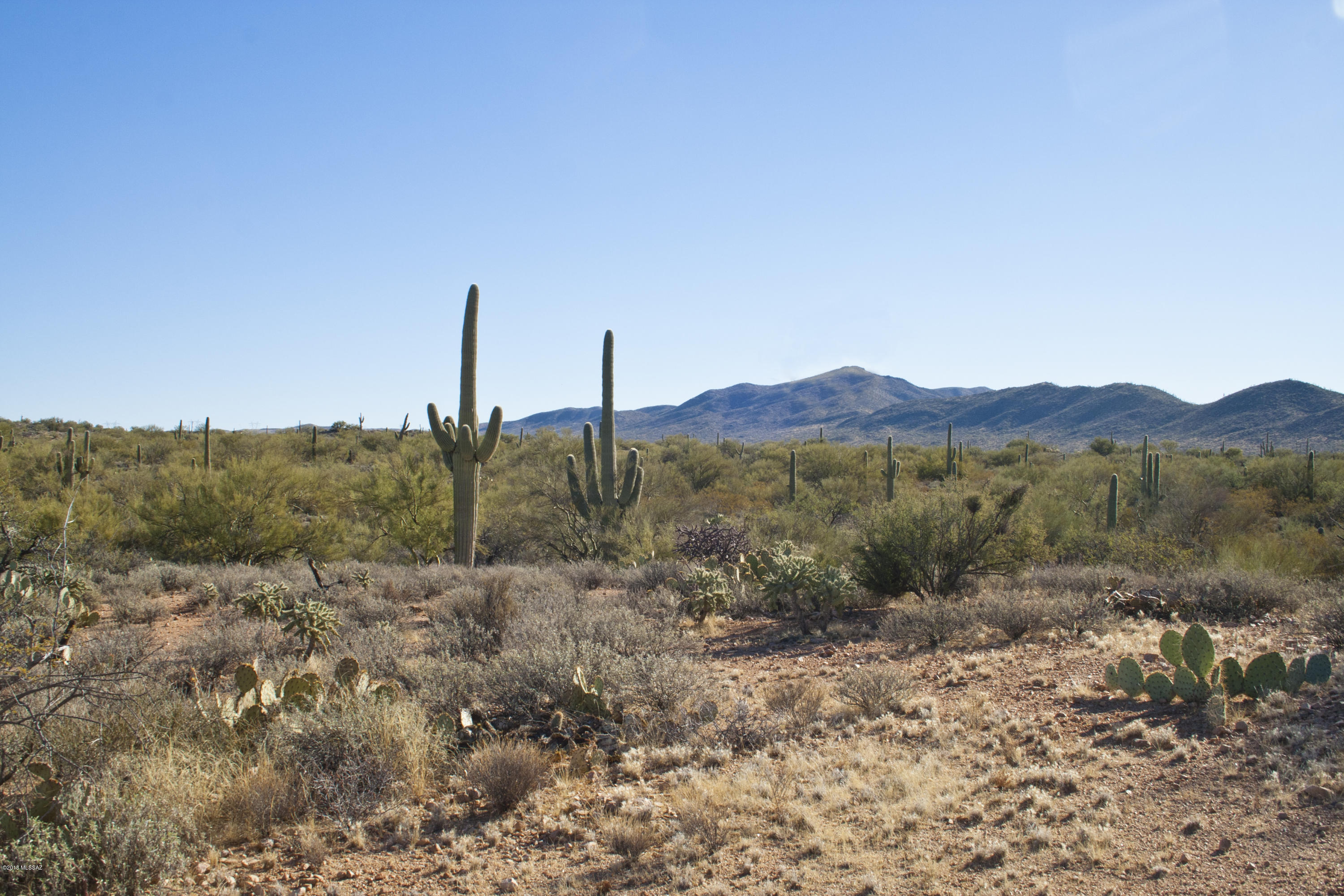 Unsubdivided - Land