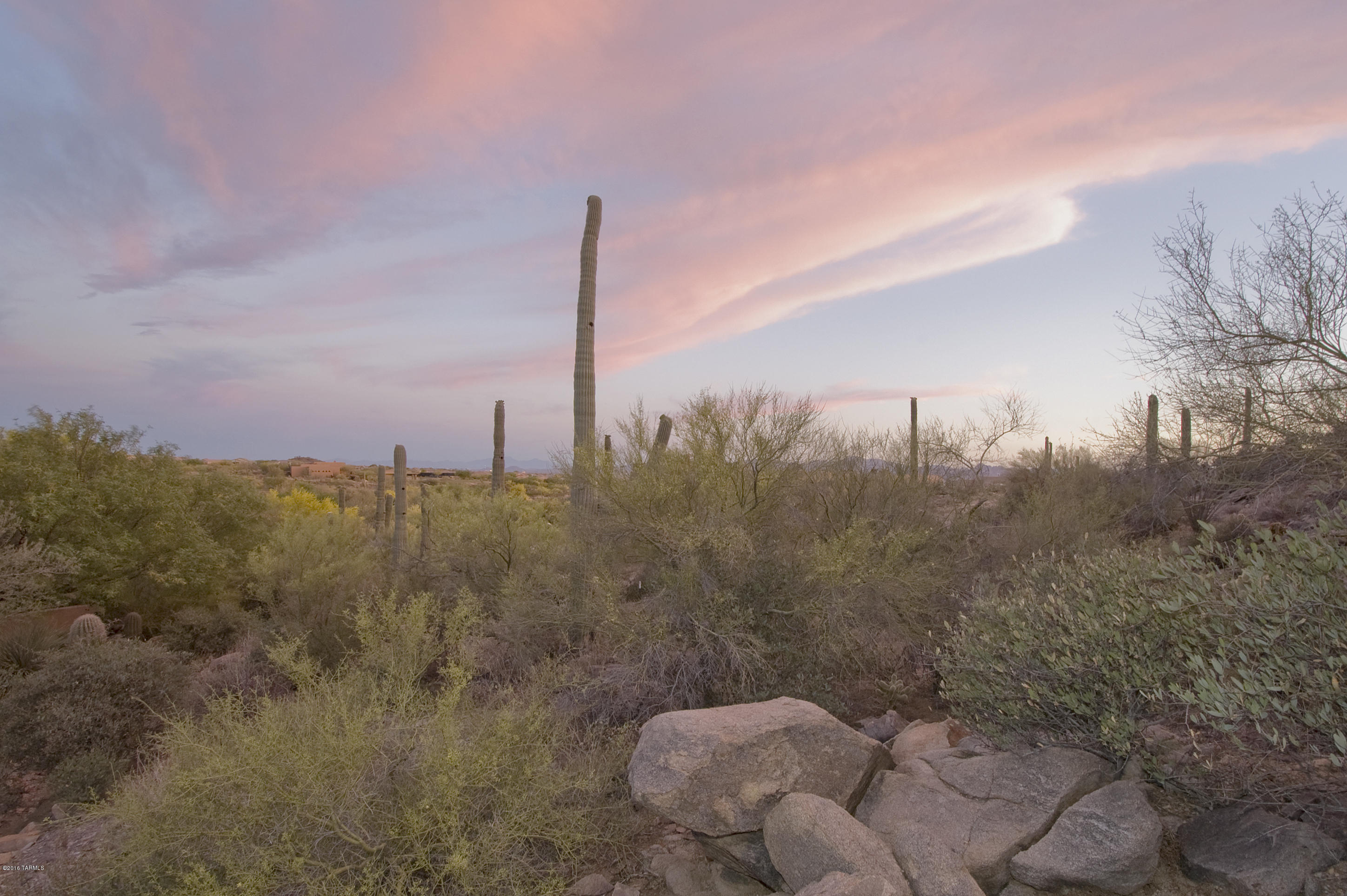 Preserve IV at Dove Mountain (487-529, 535-576, 606-650) - Residential