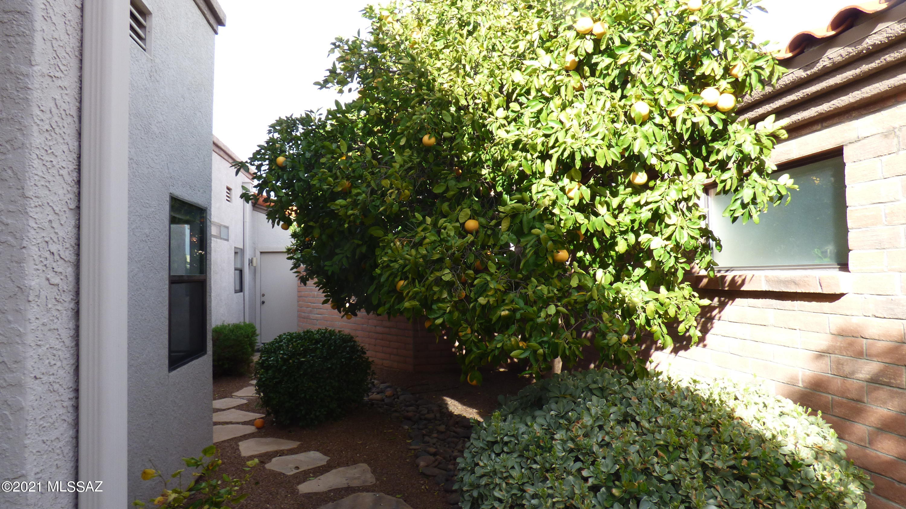 San Ignacio Vistas II (1-118) - Residential