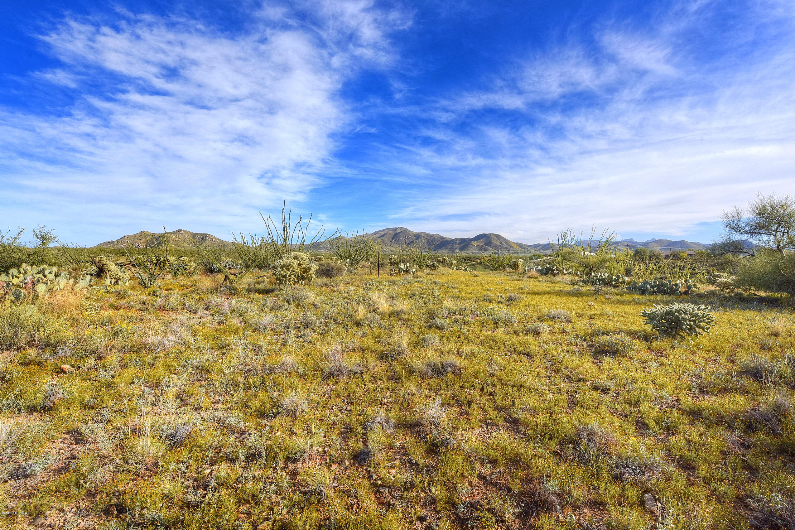 New Tucson Unit NO. 6 (1-75) - Land