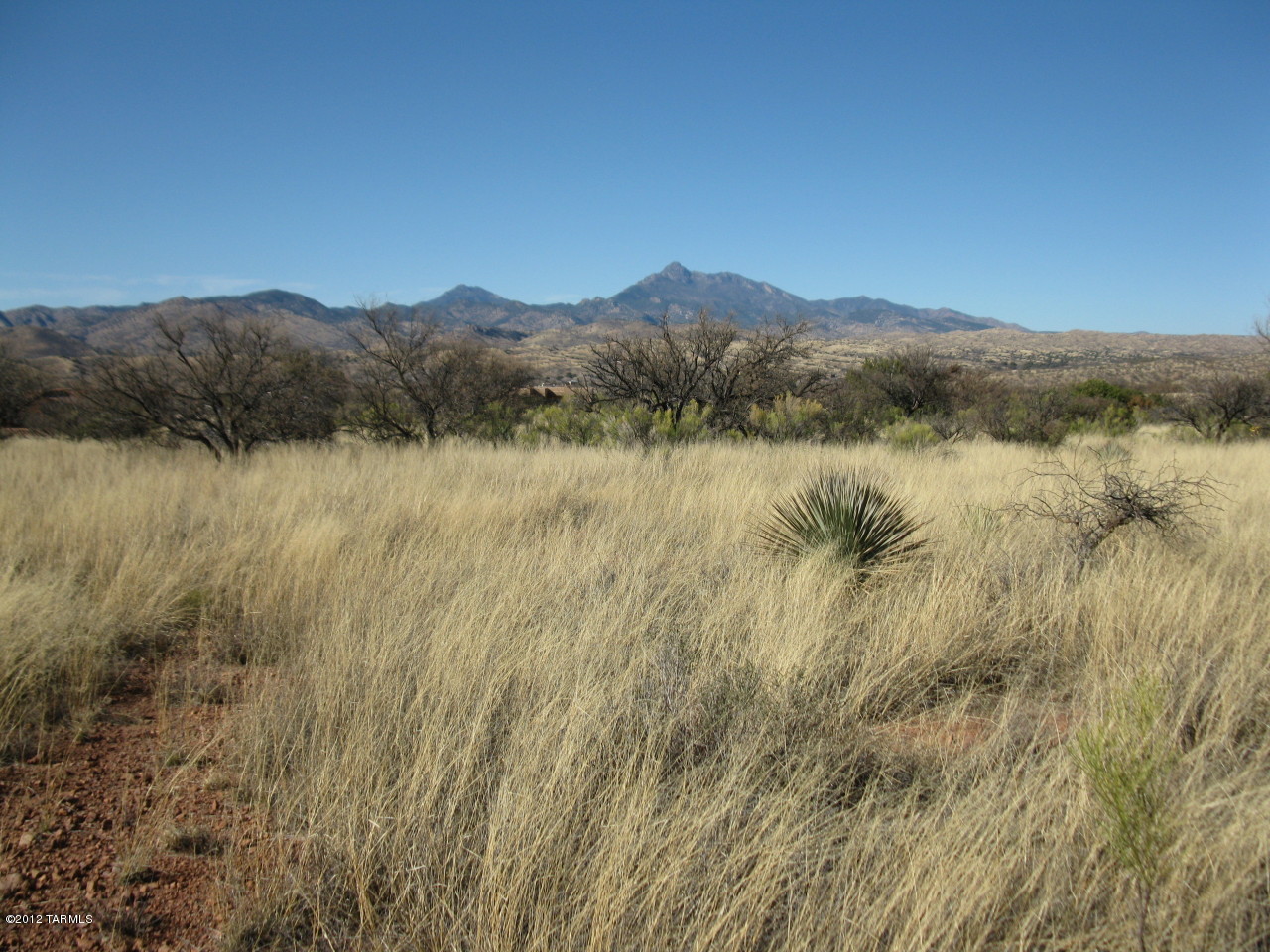 Mesa (The) - Land