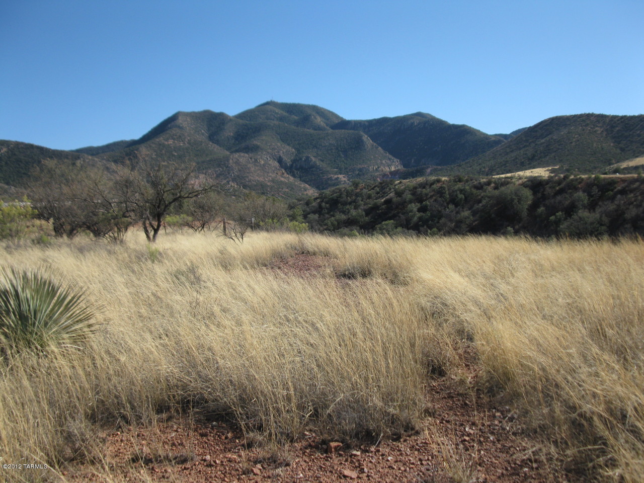 Mesa (The) - Land