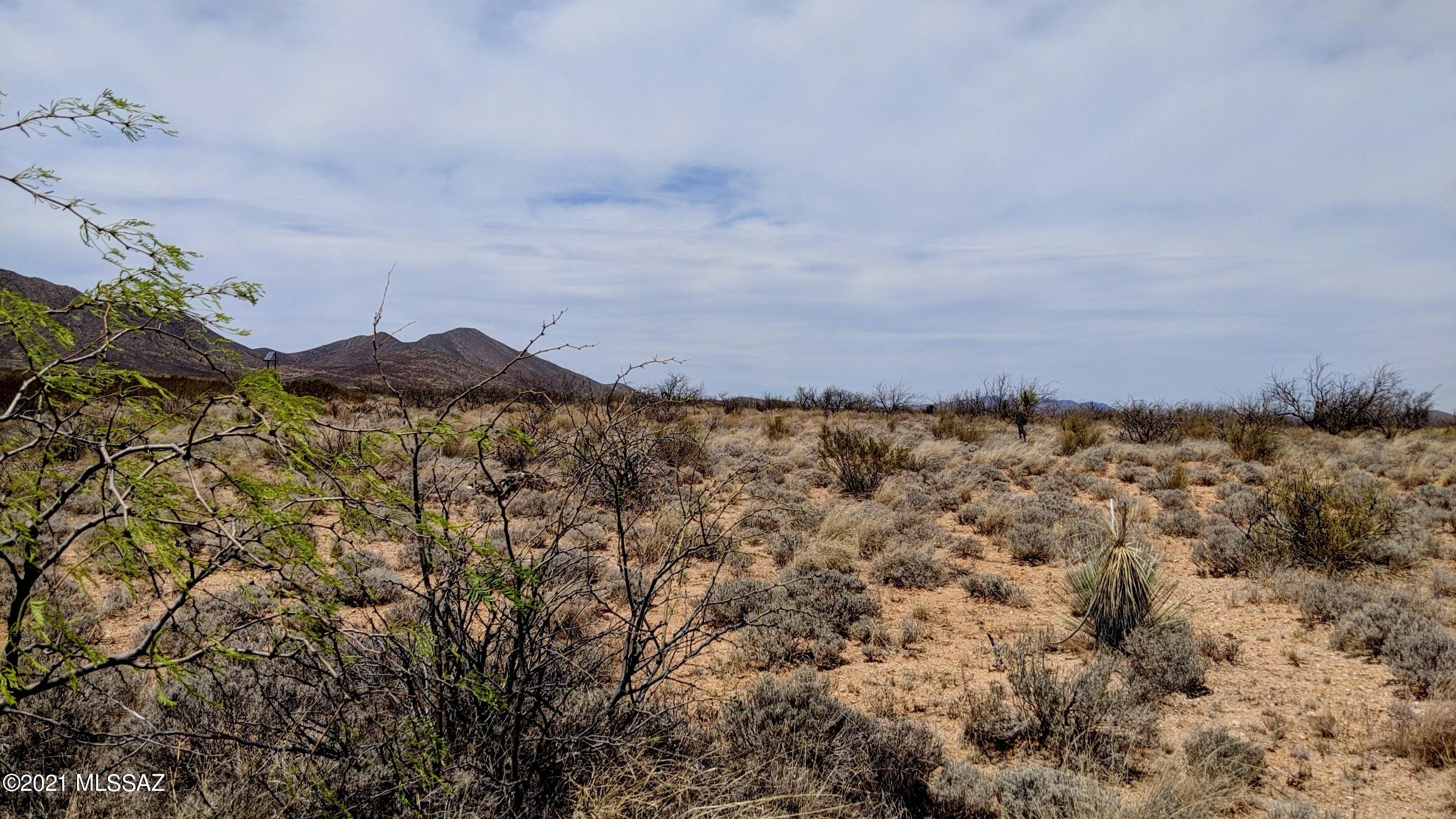 Out Of Pima County - Land