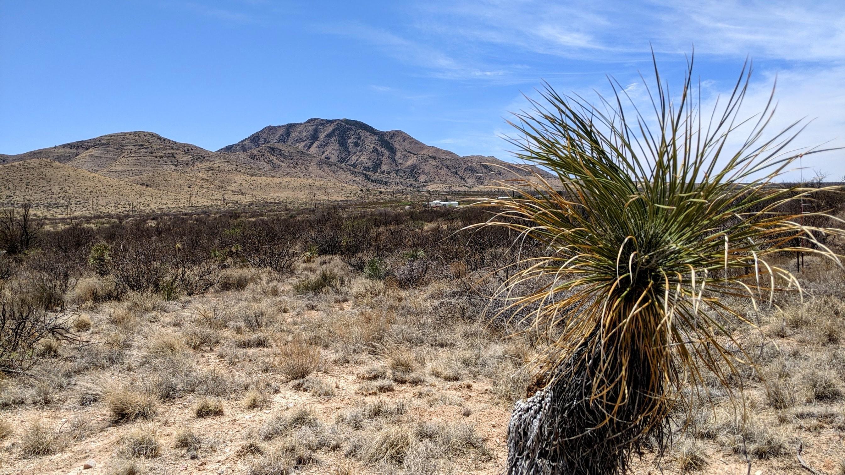 Out Of Pima County - Land