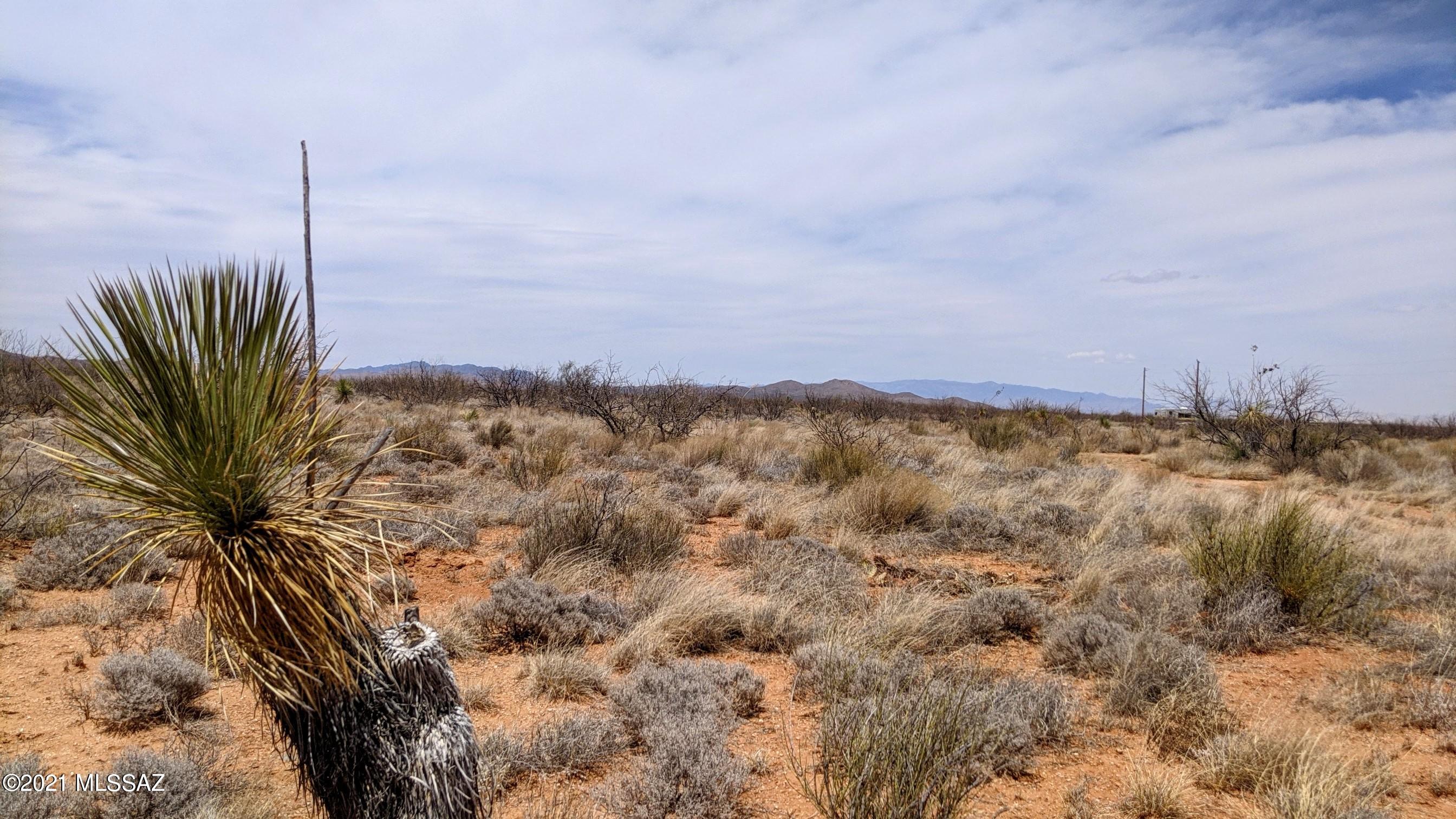Out Of Pima County - Land