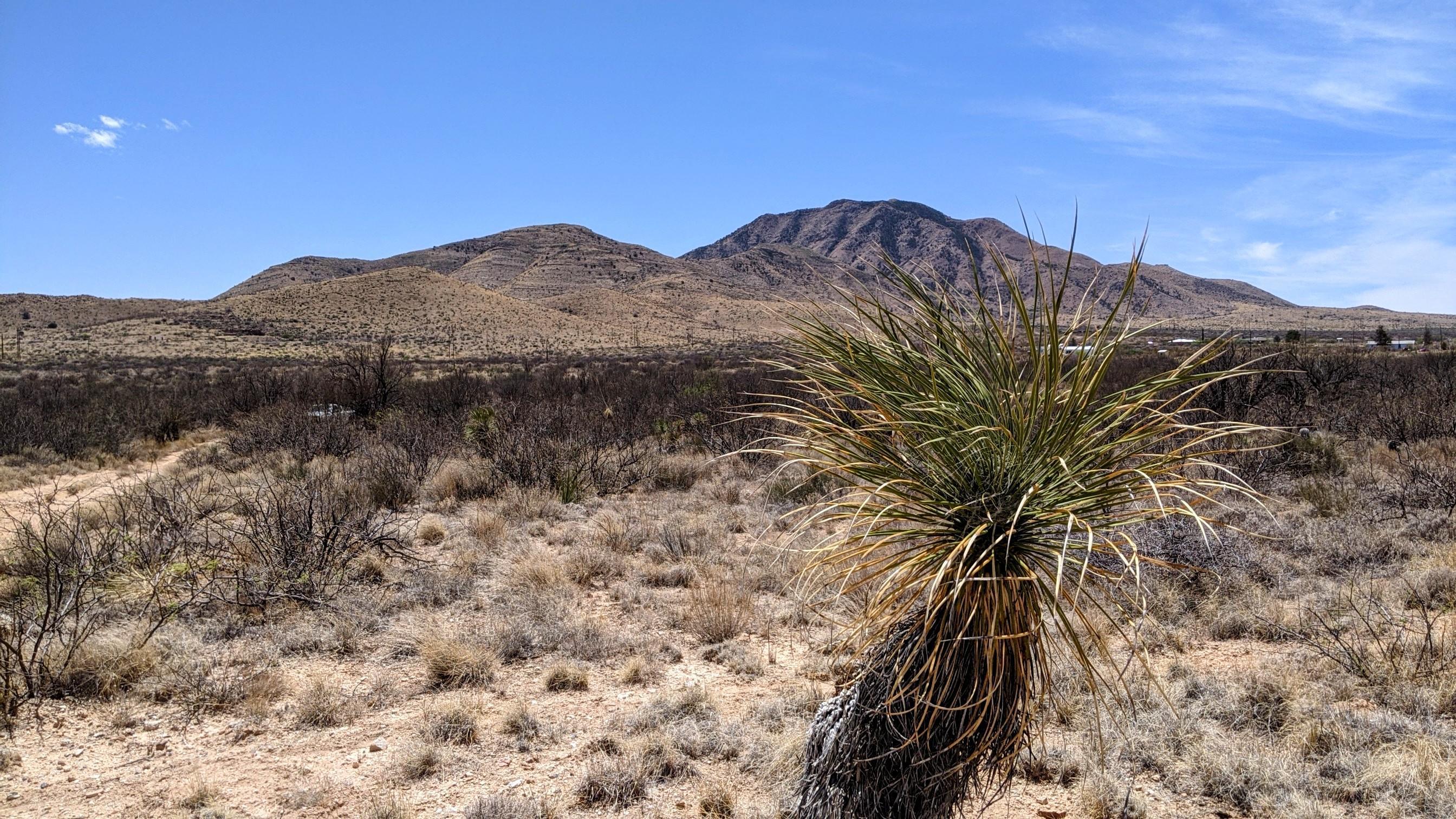 Out Of Pima County - Land