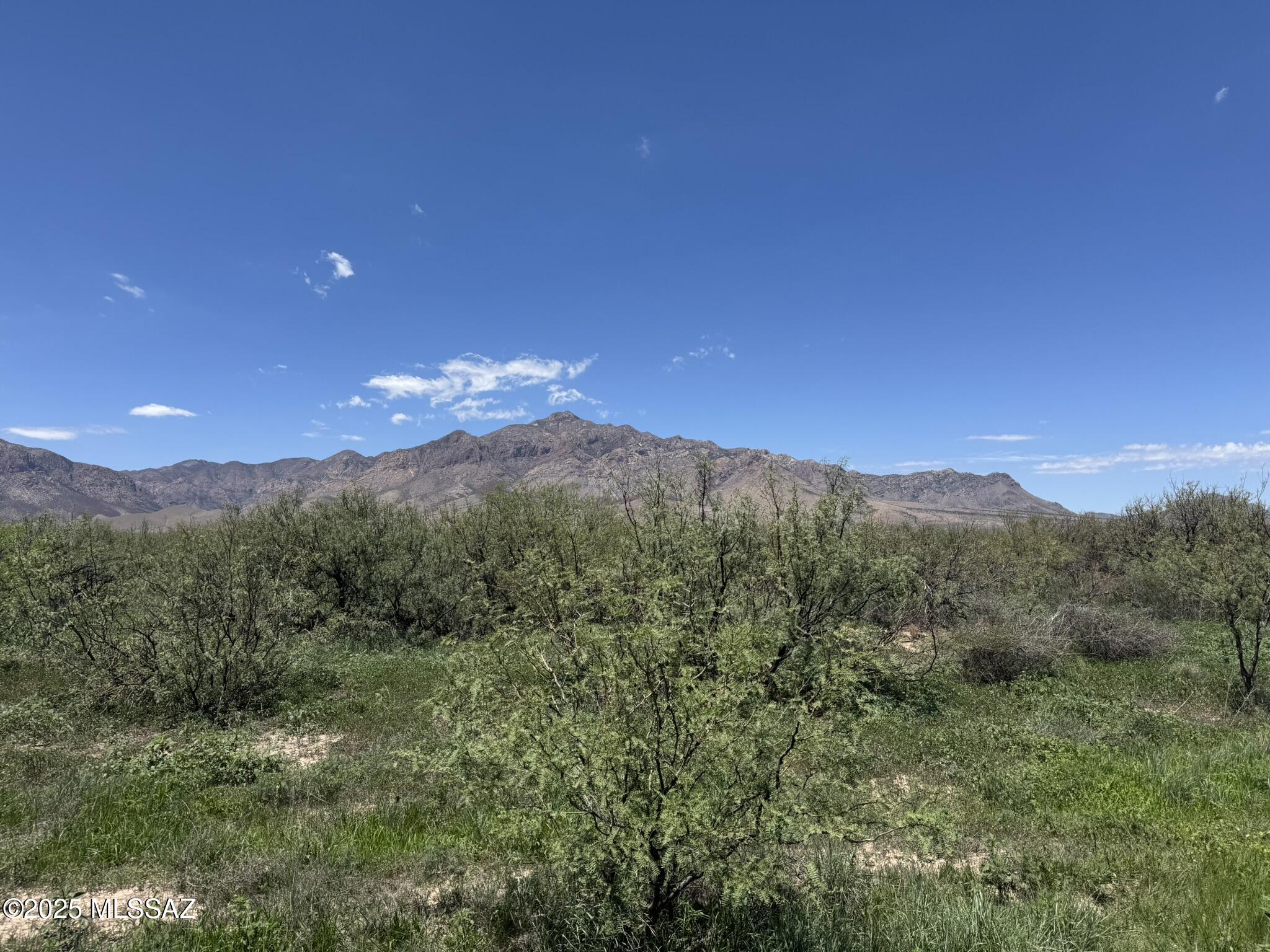 40 Acres of Cochise County RU-4 zoning. Incredible views. Here is your chance to live in the old west. Visit Historic Tombstone or Bisbee. Lots of hiking, or at night just sit and watch the stars in an area with the darkest nights you can see stars you never knew existed. Flat buildable lot for your off-grid dream or if you prefer electricity is at the property line. There is a well on the property which was recently tested. Well will need pump and other equipment. Seller financing is available with $19,900 Down plus Pioneer Title account setup and closing Costs, for 10 years at 9.9 percent interest. with a payment of $657.99 per month plus Pioneer Title Processing fee and impounded property tax.