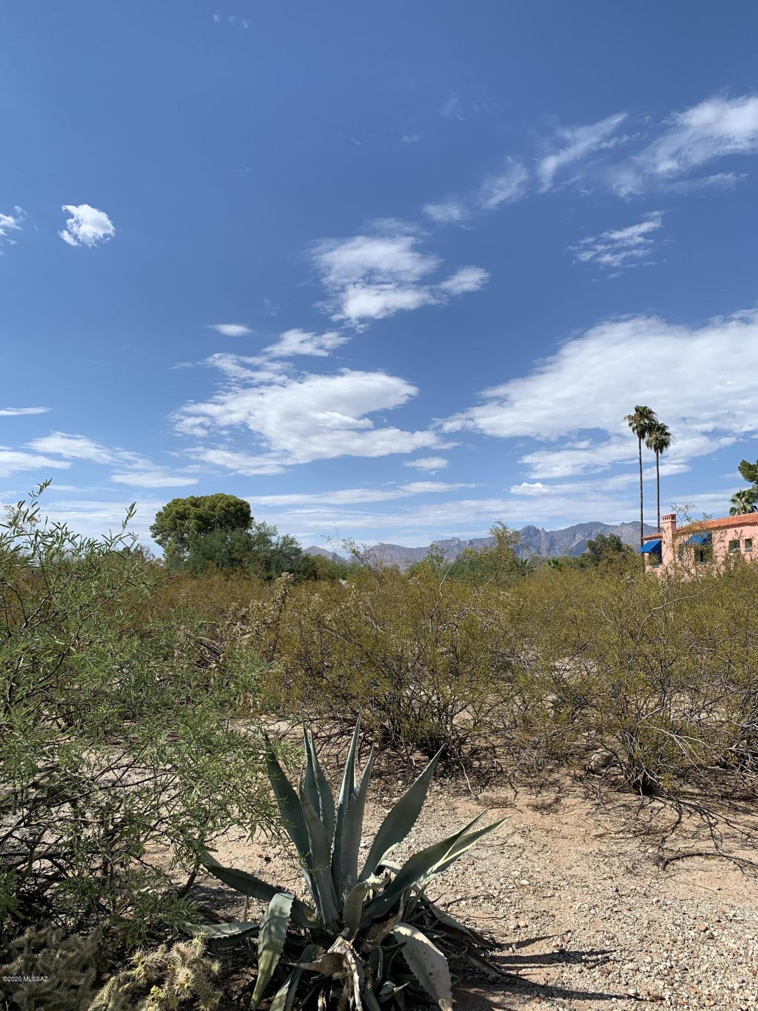 UNIQUE OPPORTUNITY TO BUILD YOUR OWN HOME IN HISTORIC BLENMAN ELM NEIGHBORHOOD RIGHT NEXT TO THE ARIZONA INN AND WITHIN WALKING DISTANCE OF BANNER MEDICAL CENTER!  BUY ONE LOT OR ALL FOUR. THIS LOT IS RESTRICTED TO A SINGLE ONE STORY HOME.  LOT IS LEVEL AND  READY TO GO WITH UTILITIES IN CLOSE PROXIMITY.  INCREDIBLE LOCATION NEXT TO A TUCSON LANDMARK!