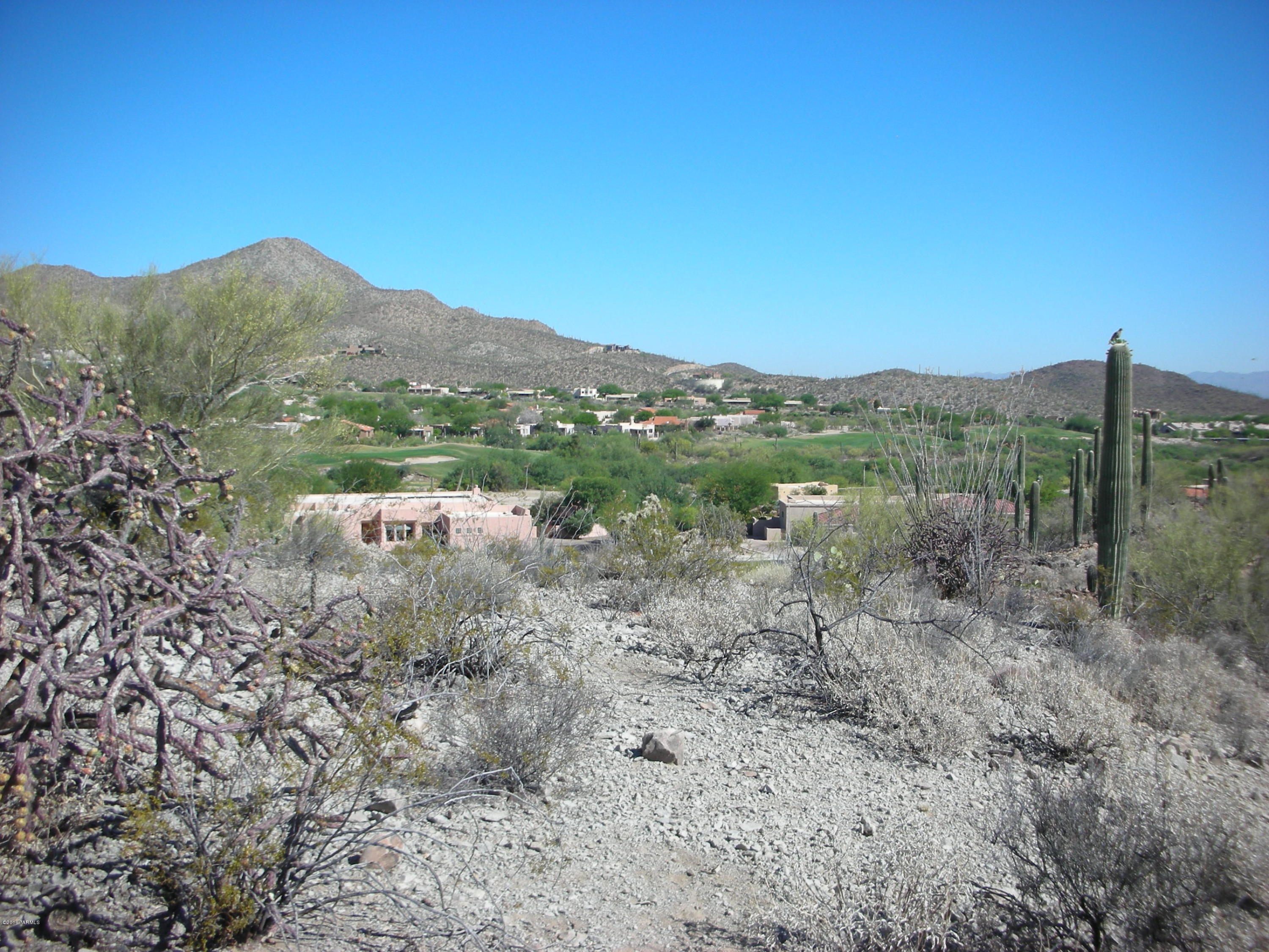 Coyote Pass Amended - Land
