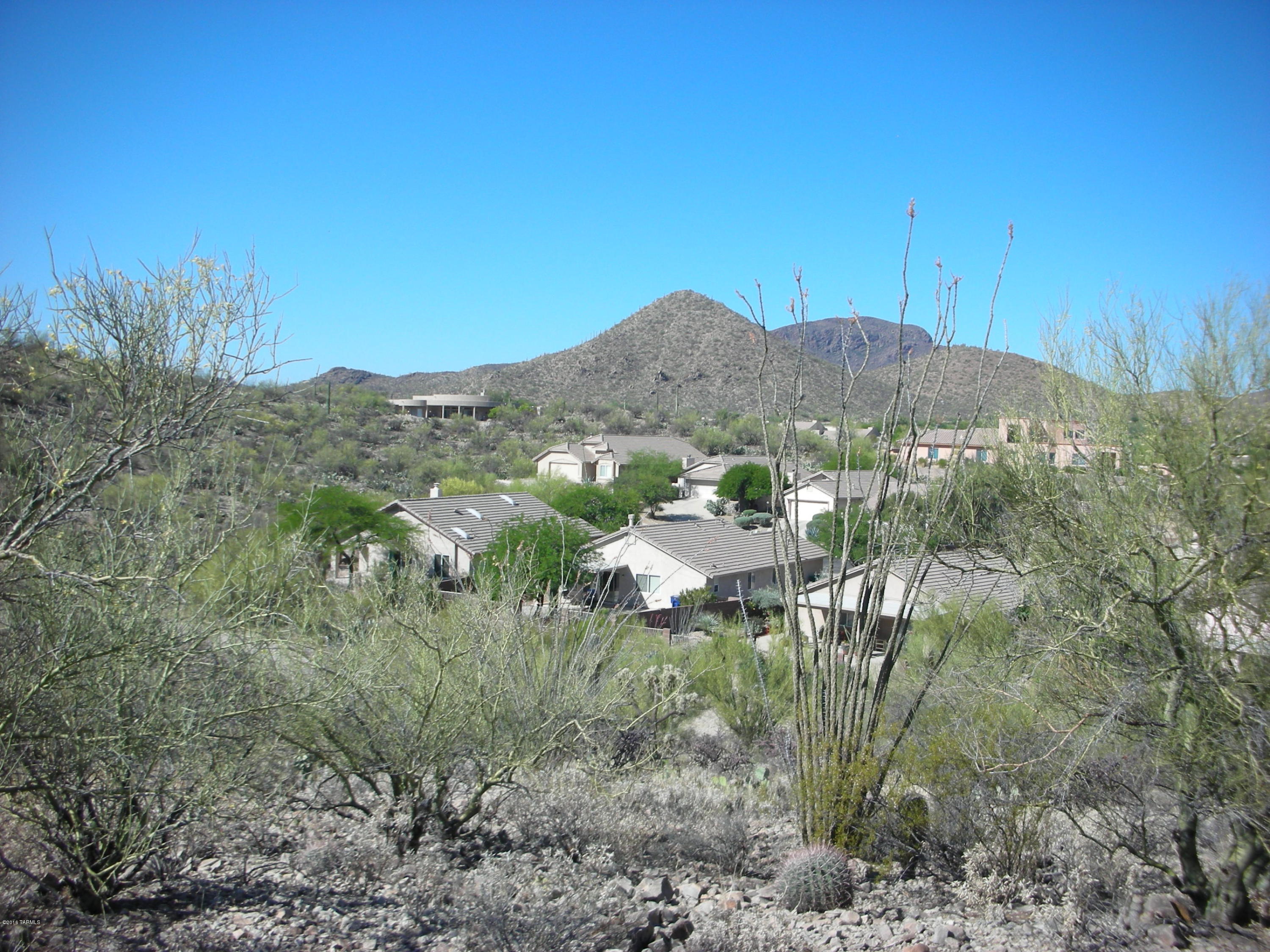 Coyote Pass Amended - Land