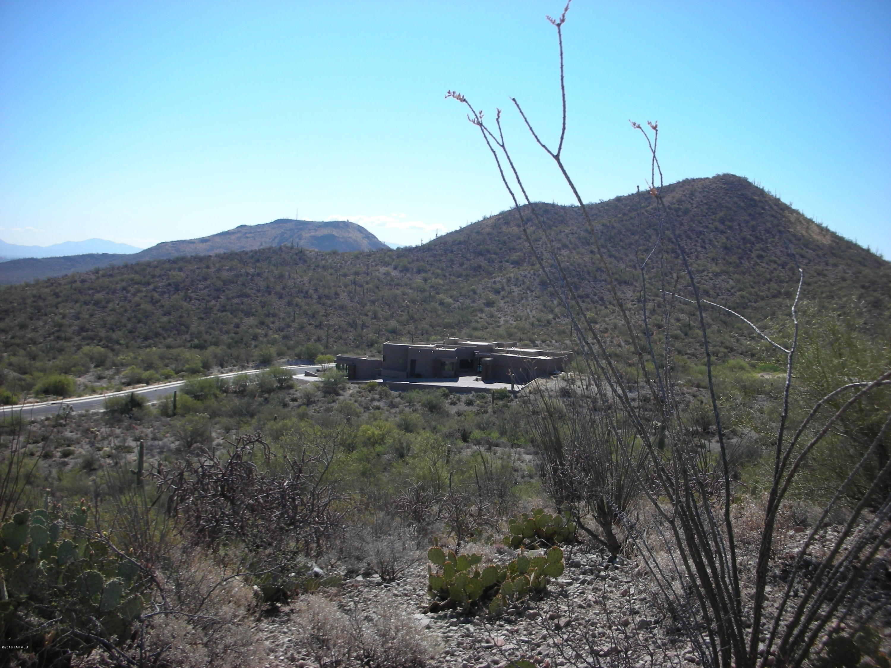 Coyote Pass Amended - Land