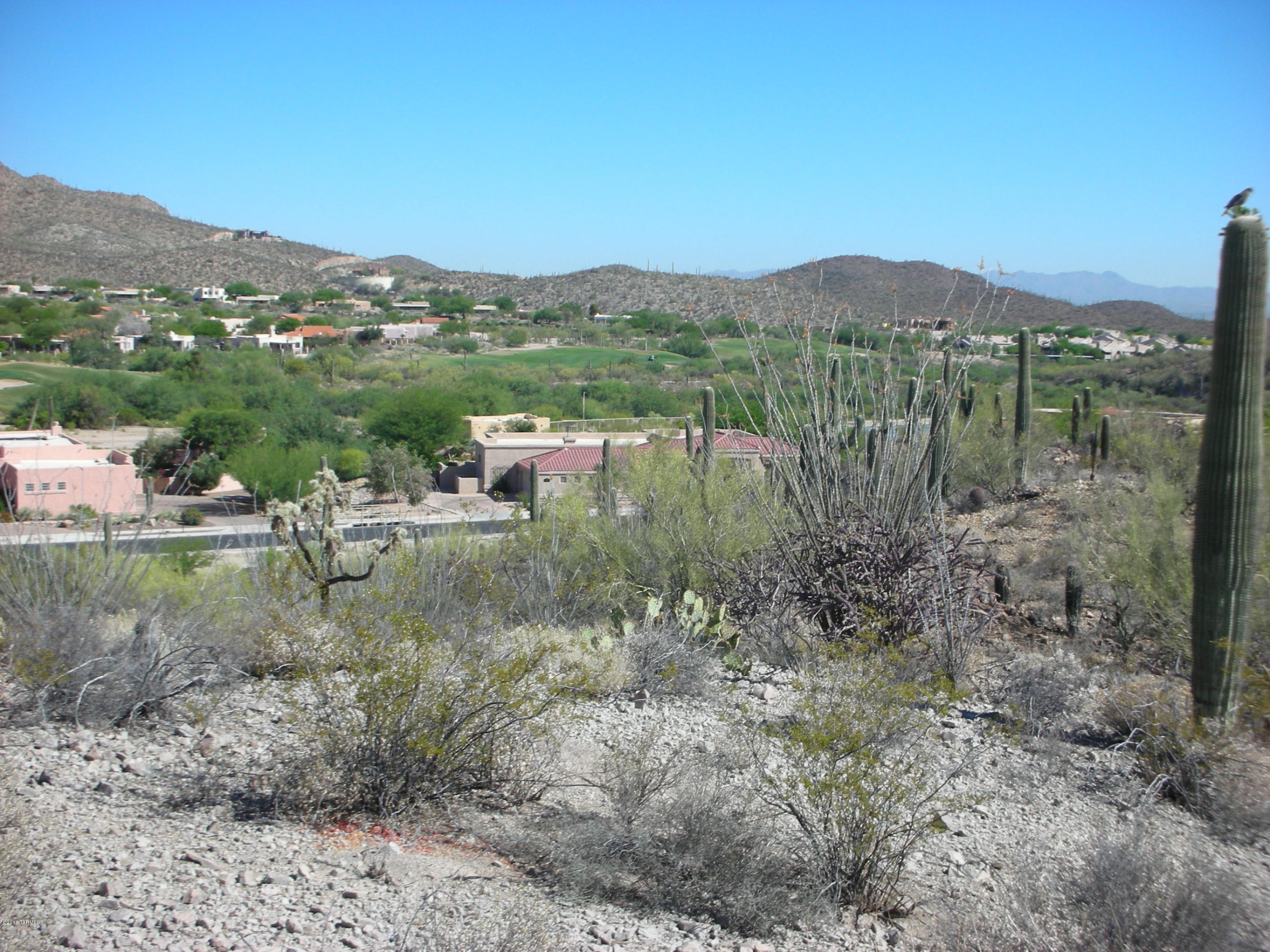 Coyote Pass Amended - Land
