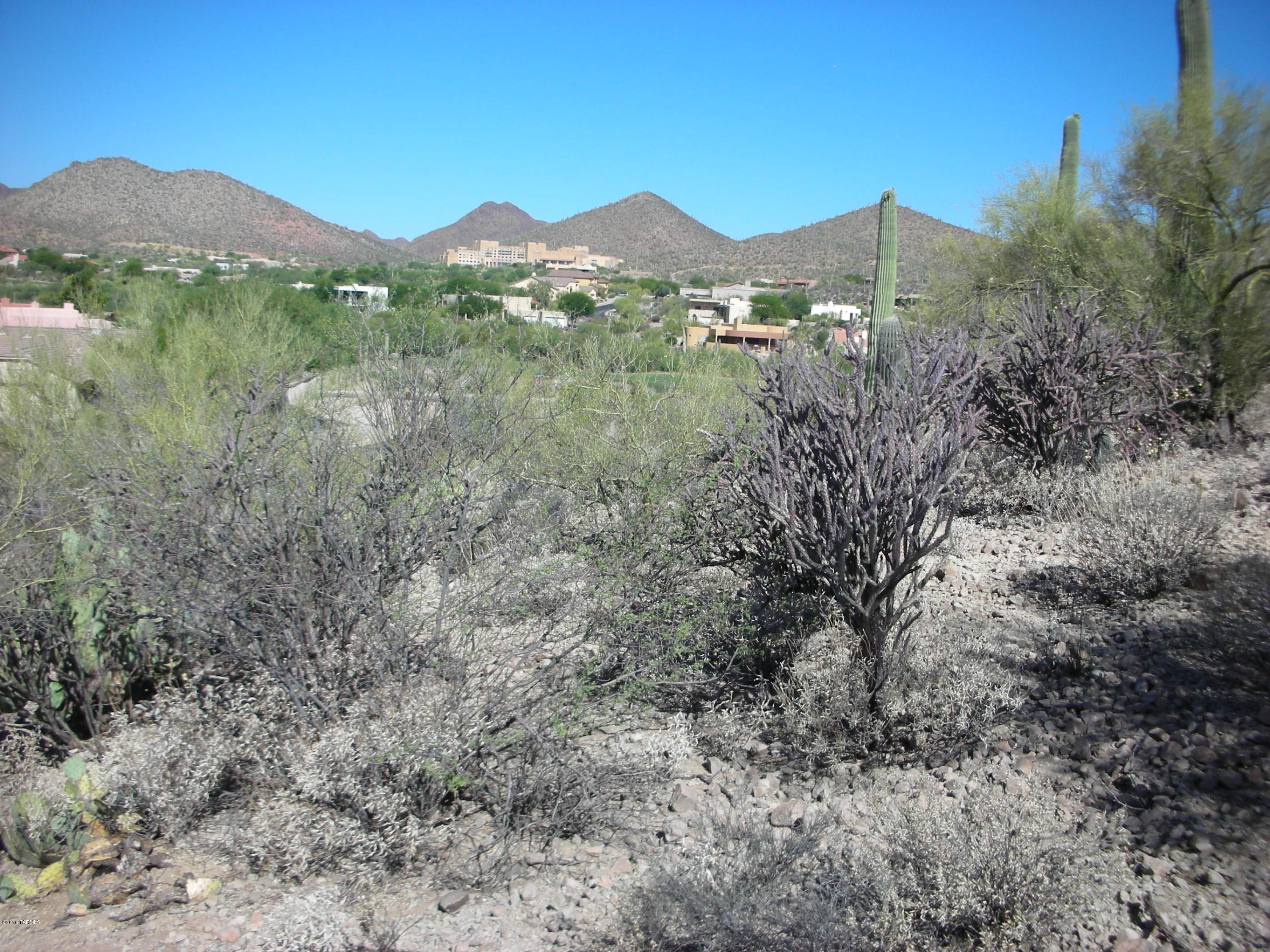 Coyote Pass Amended - Land