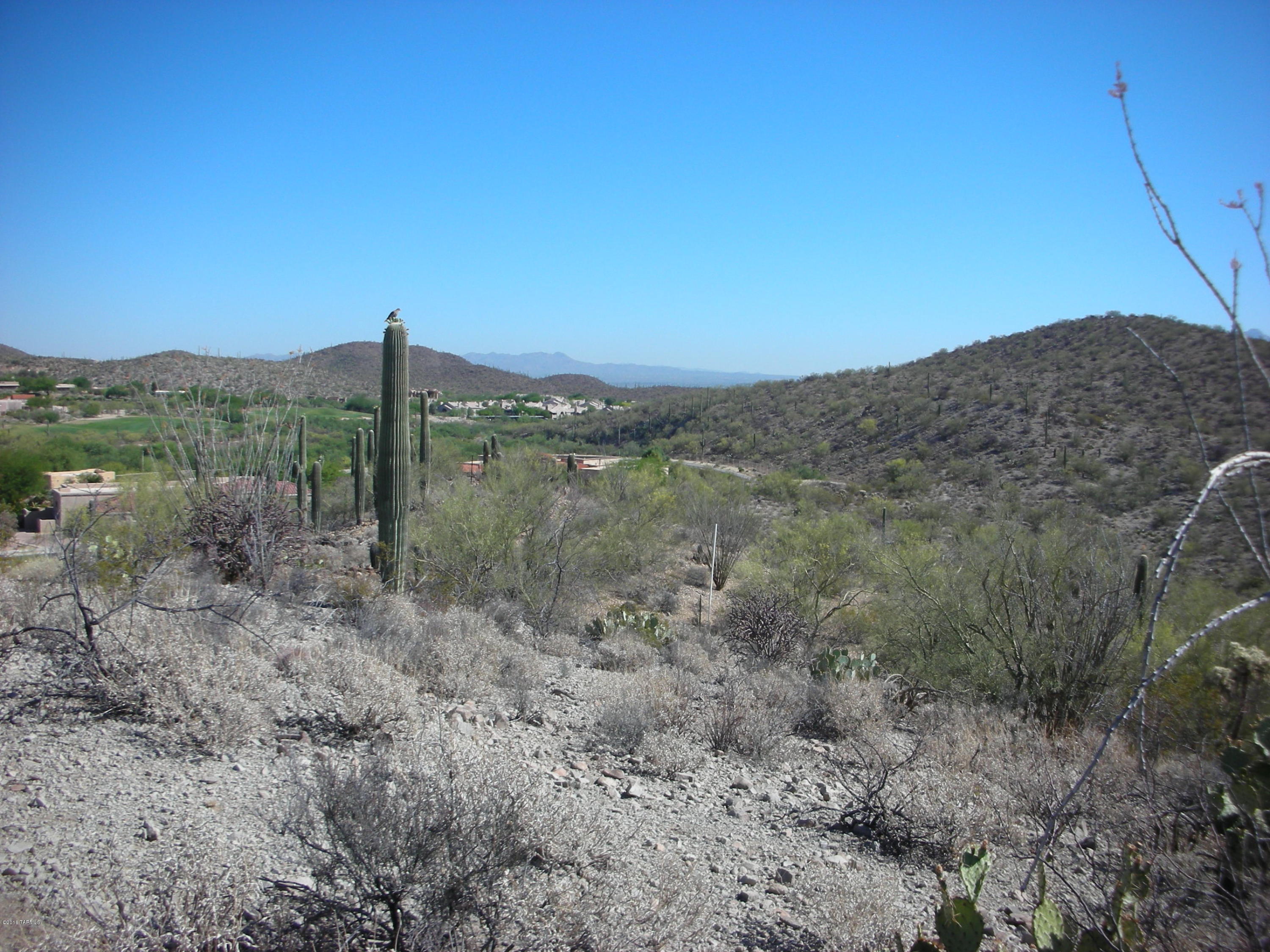 Coyote Pass Amended - Land