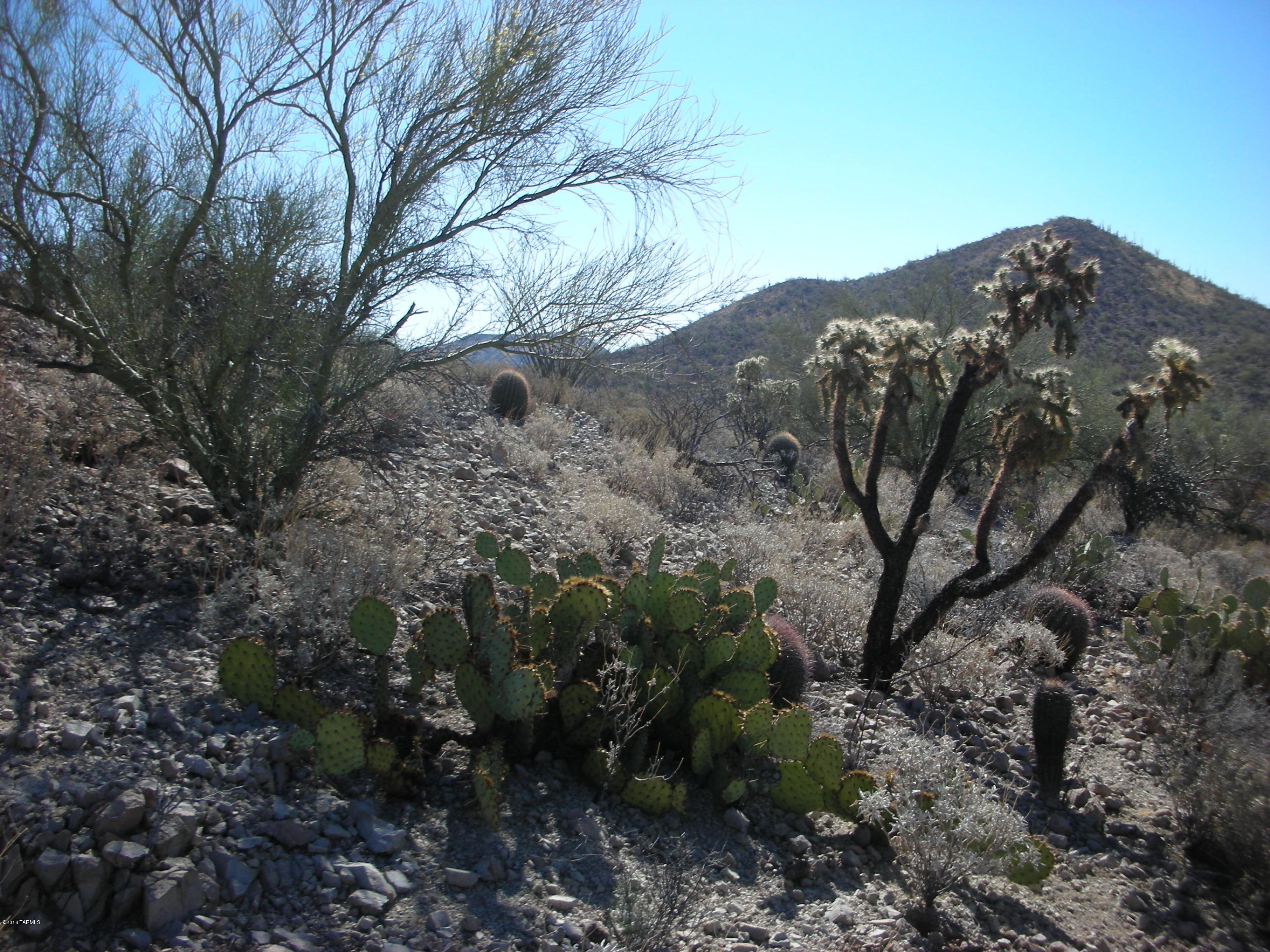 Coyote Pass Amended - Land