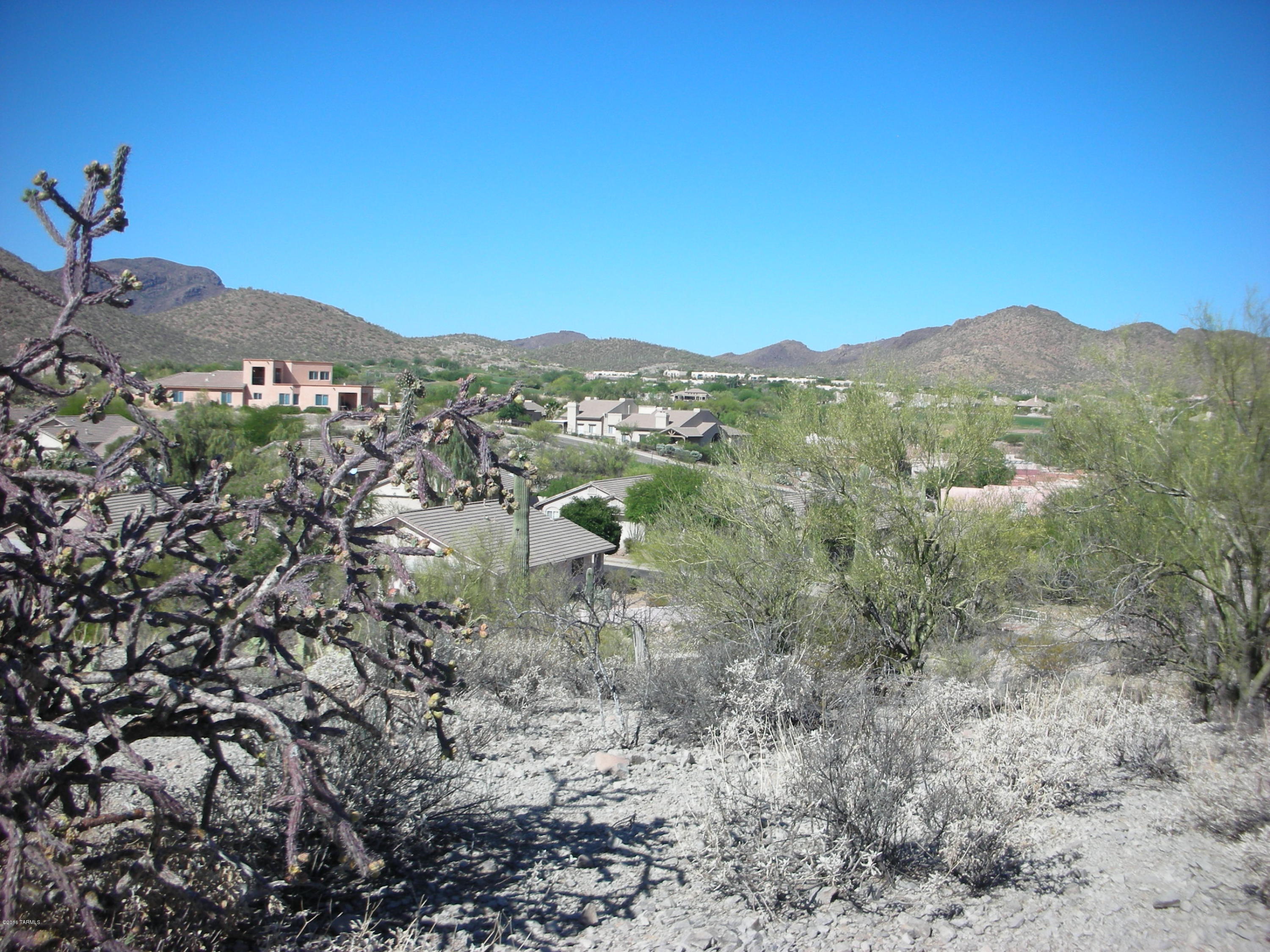 Coyote Pass Amended - Land