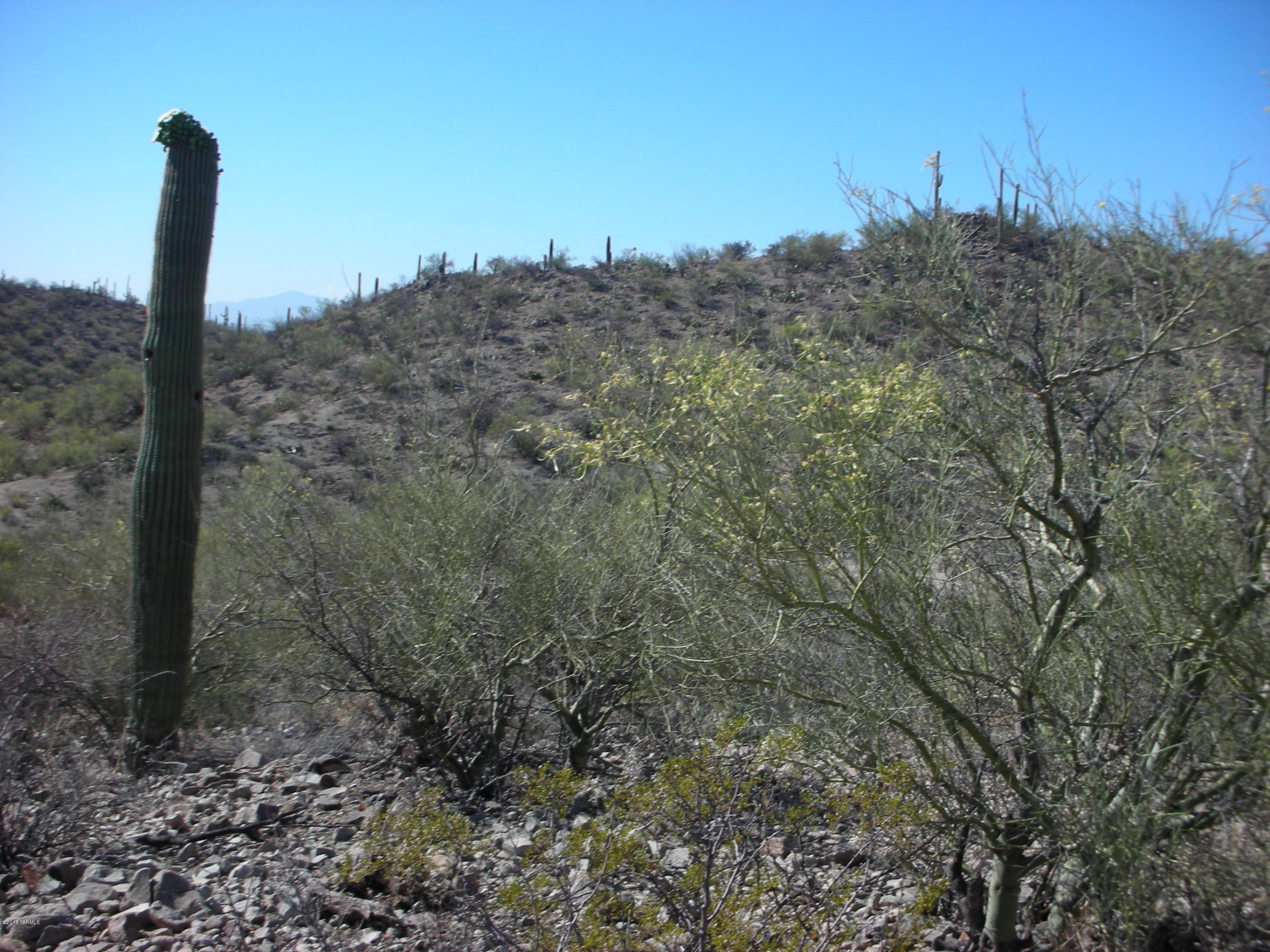 Coyote Pass Amended - Land