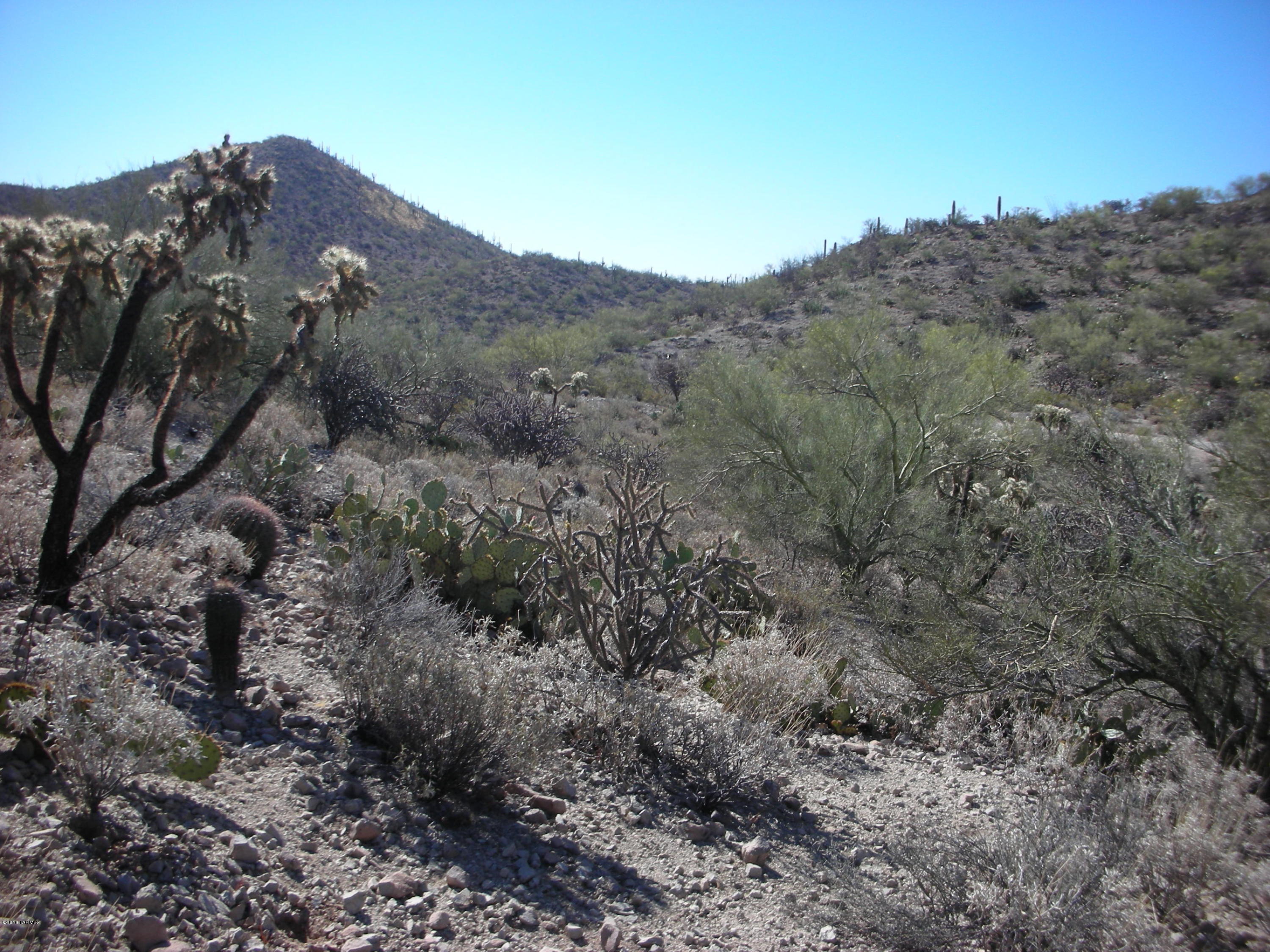 Coyote Pass Amended - Land