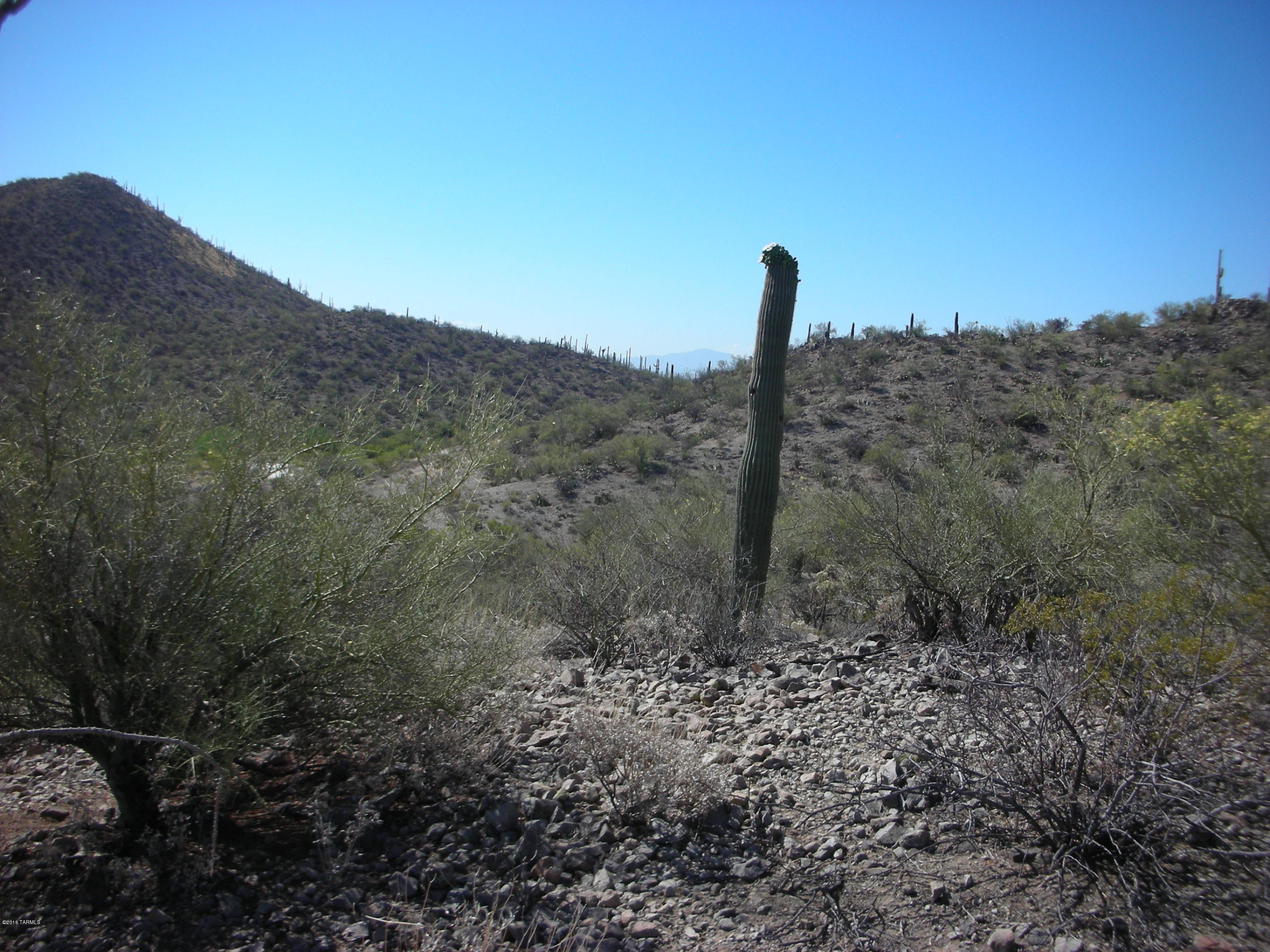 Coyote Pass Amended - Land