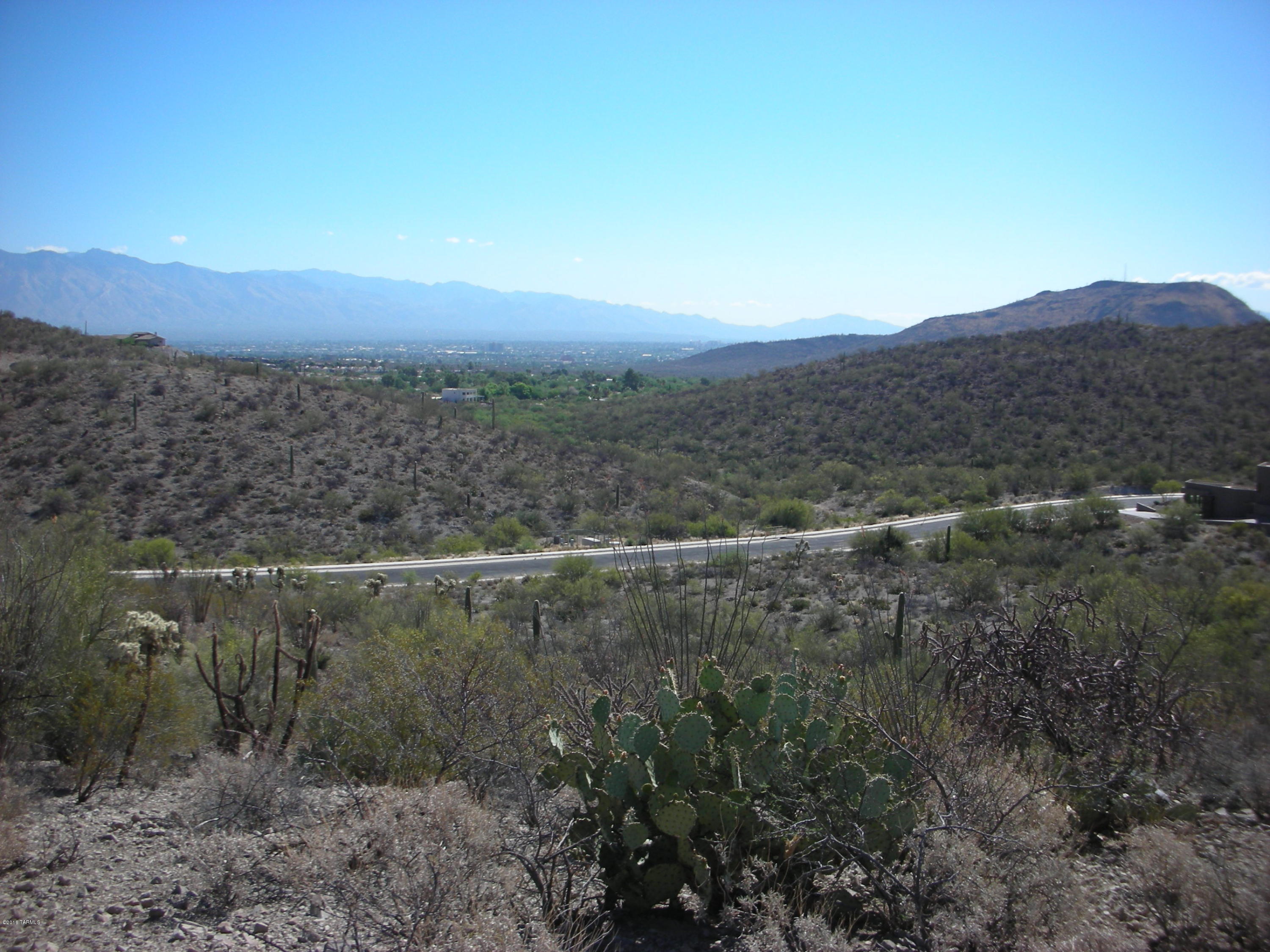 Coyote Pass Amended - Land