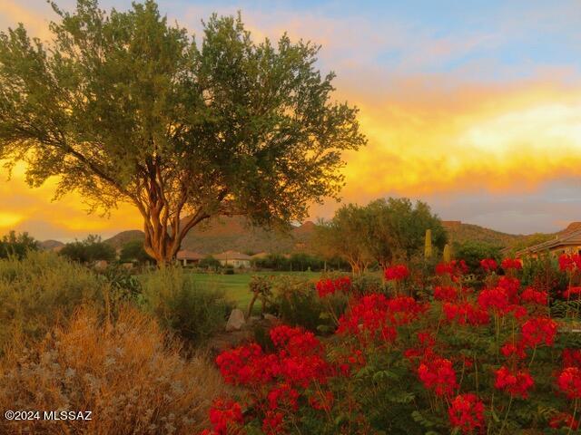 Heritage Highlands IV at Dove Mountain (720-844) - Residential