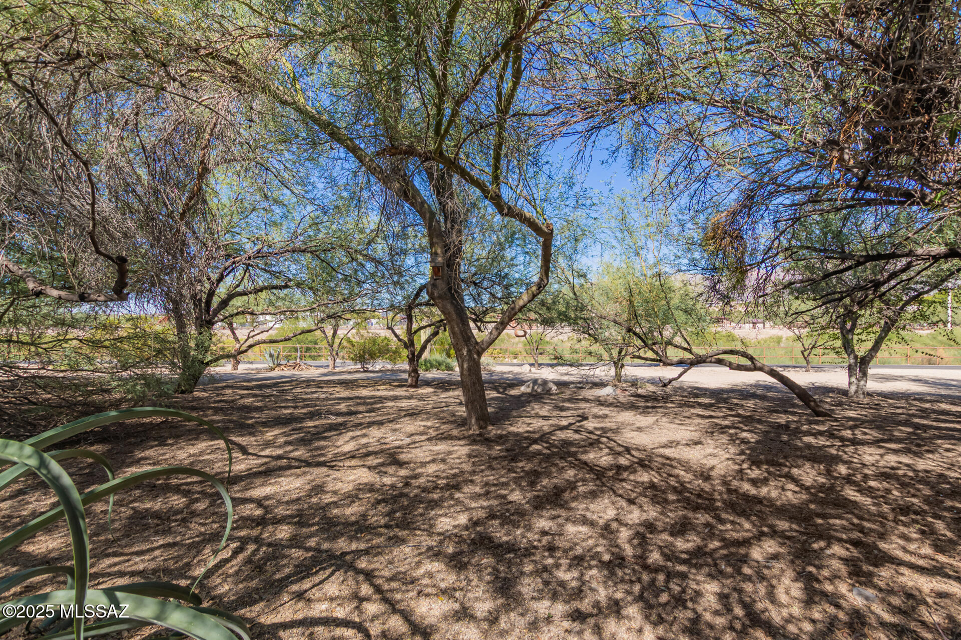 Rillito River Estates Amended - Residential